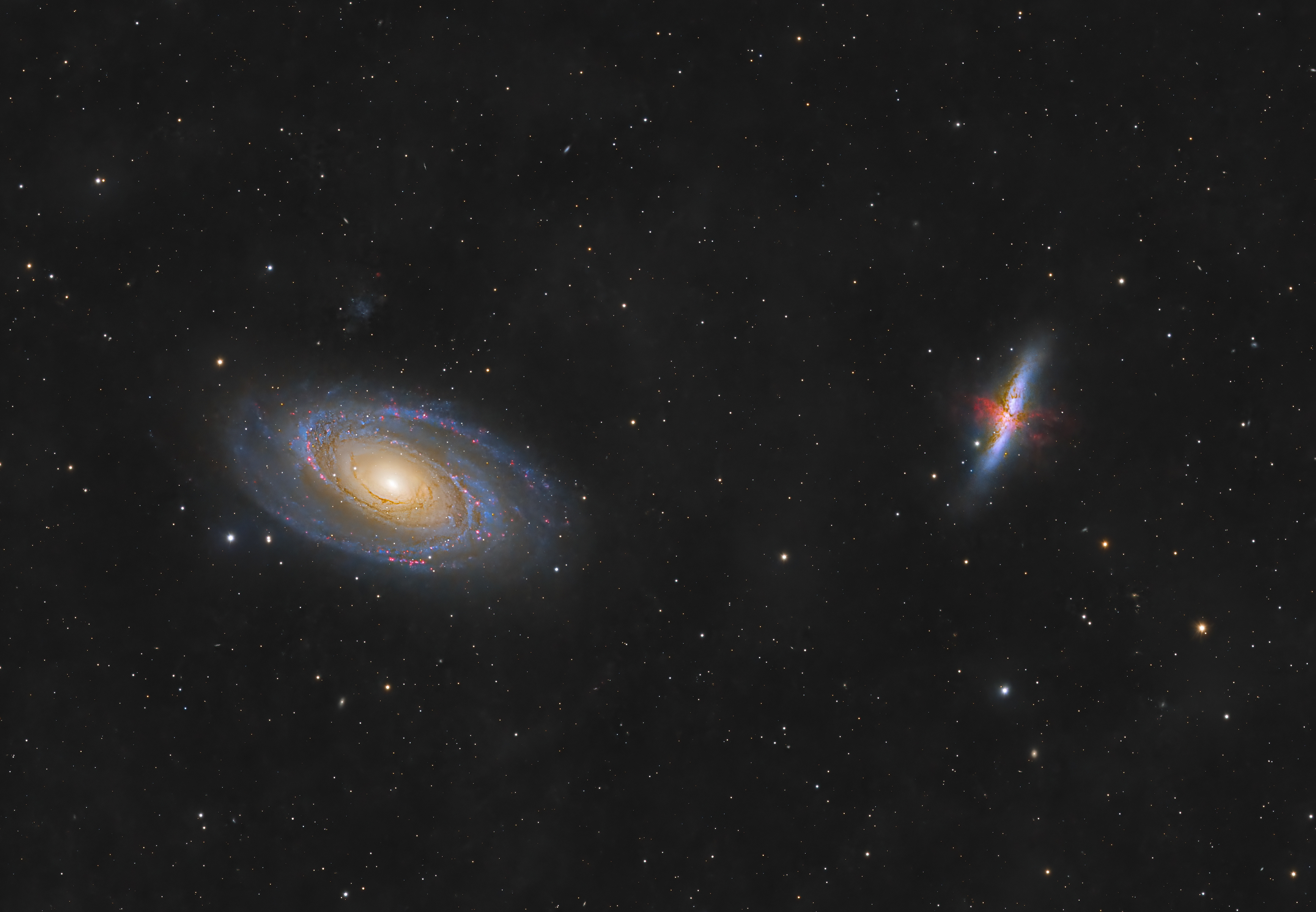 Bode's and Cigar galaxies