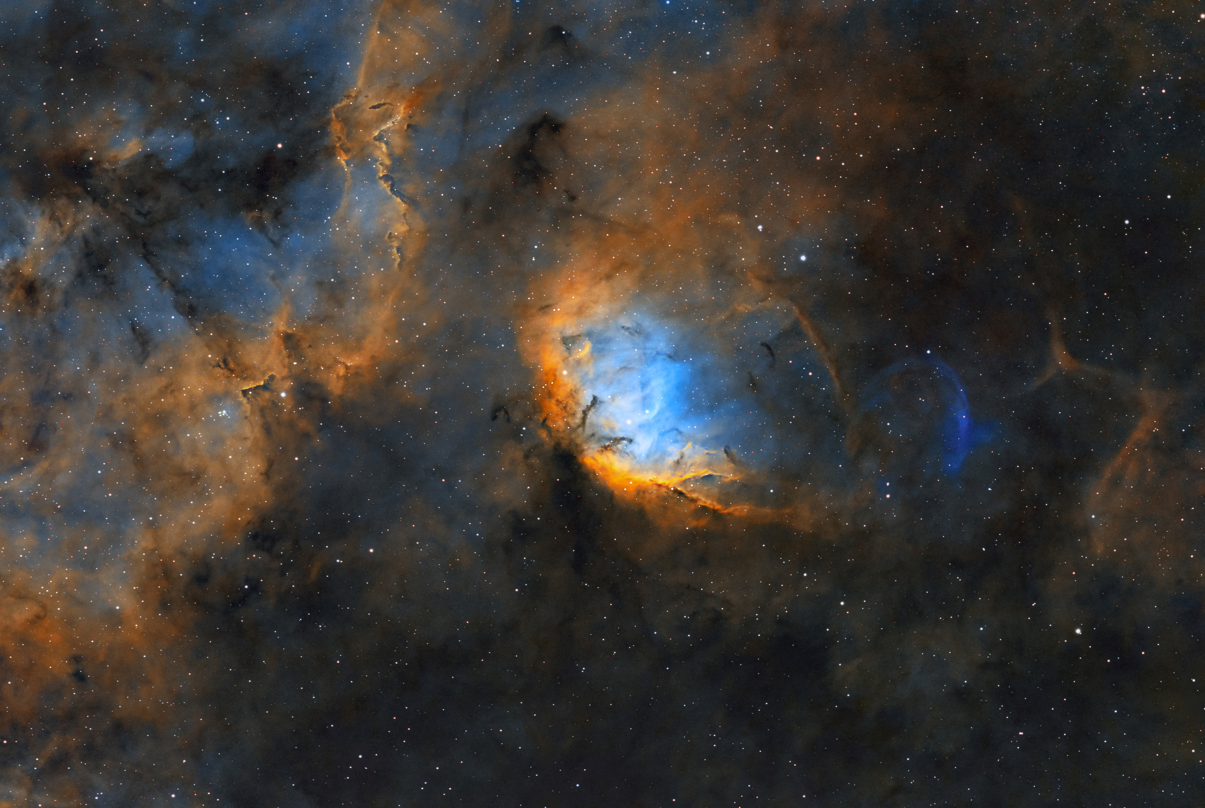 Tulip nebula and the Cygnus X1 bow shock