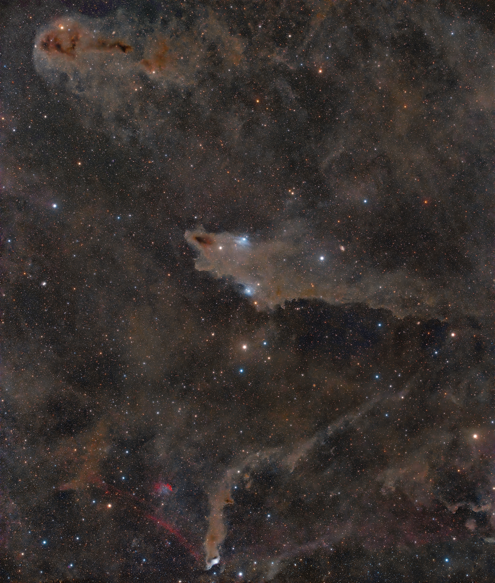 Dust Clouds in Cepheus