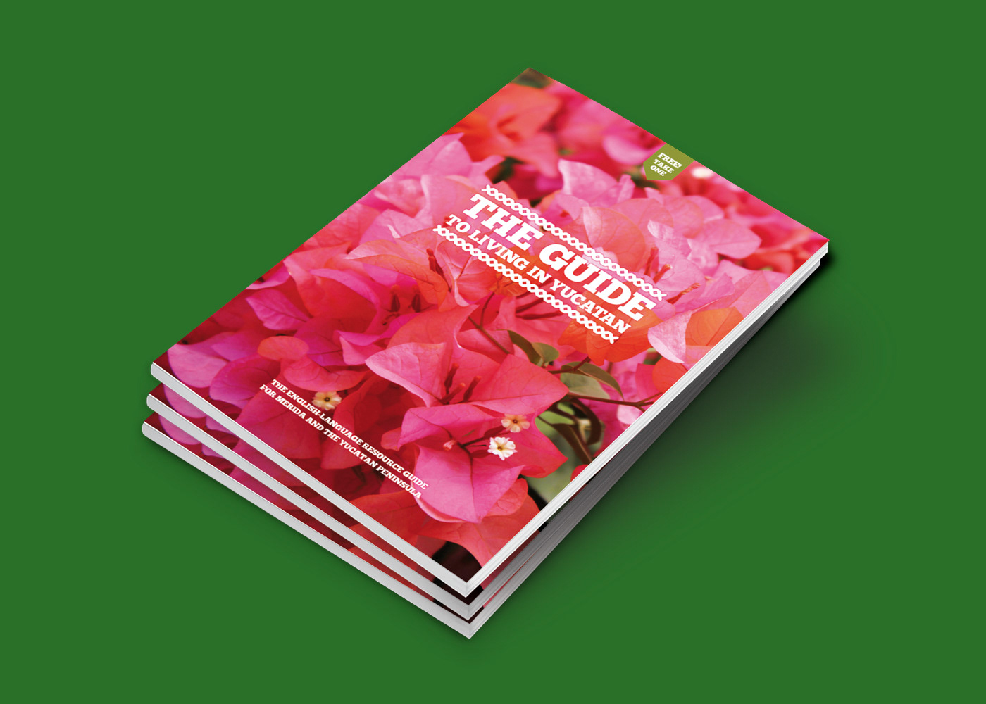 The Guide to Living in Yucatan: Cover 2nd edition