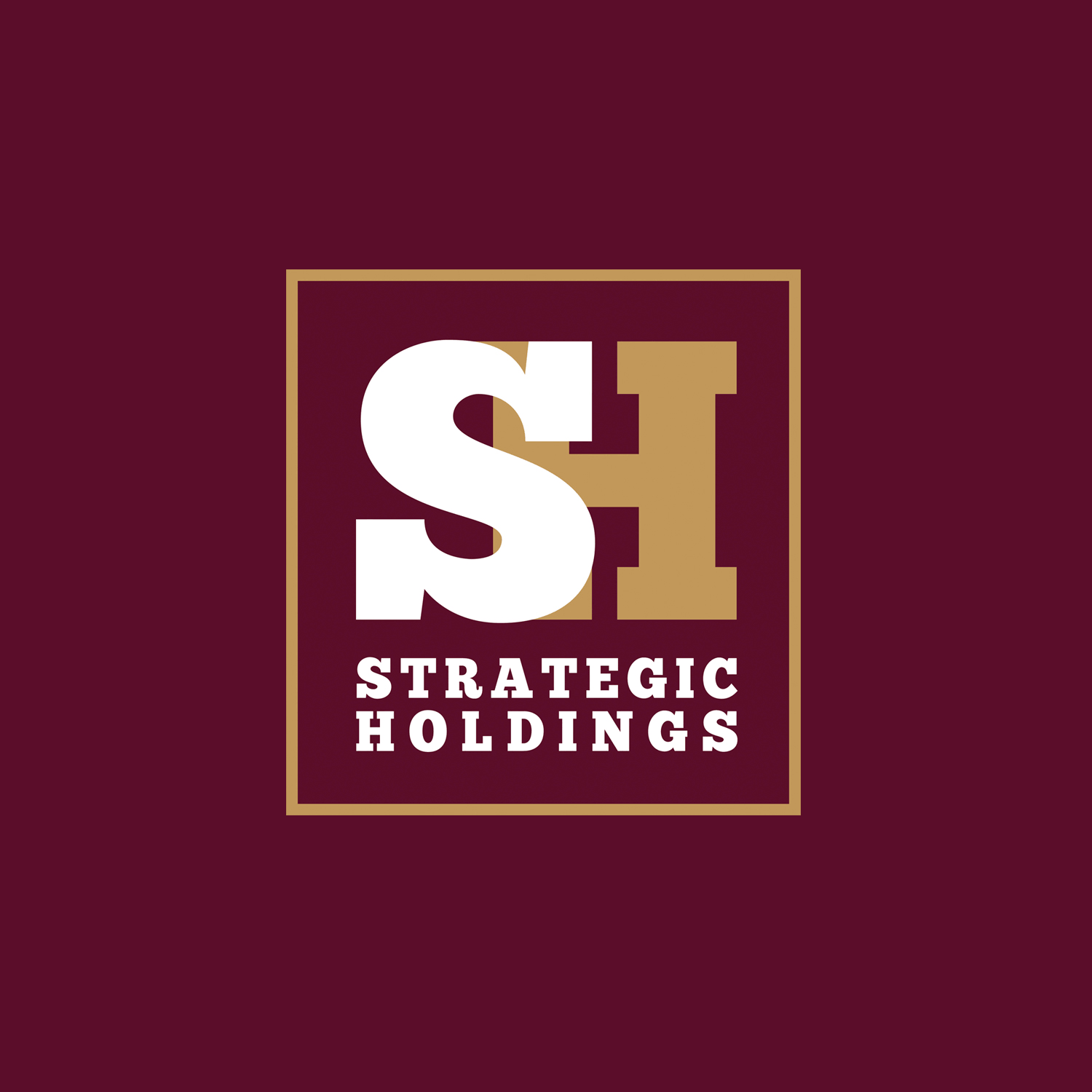 Strategic Holdings: Brand identity