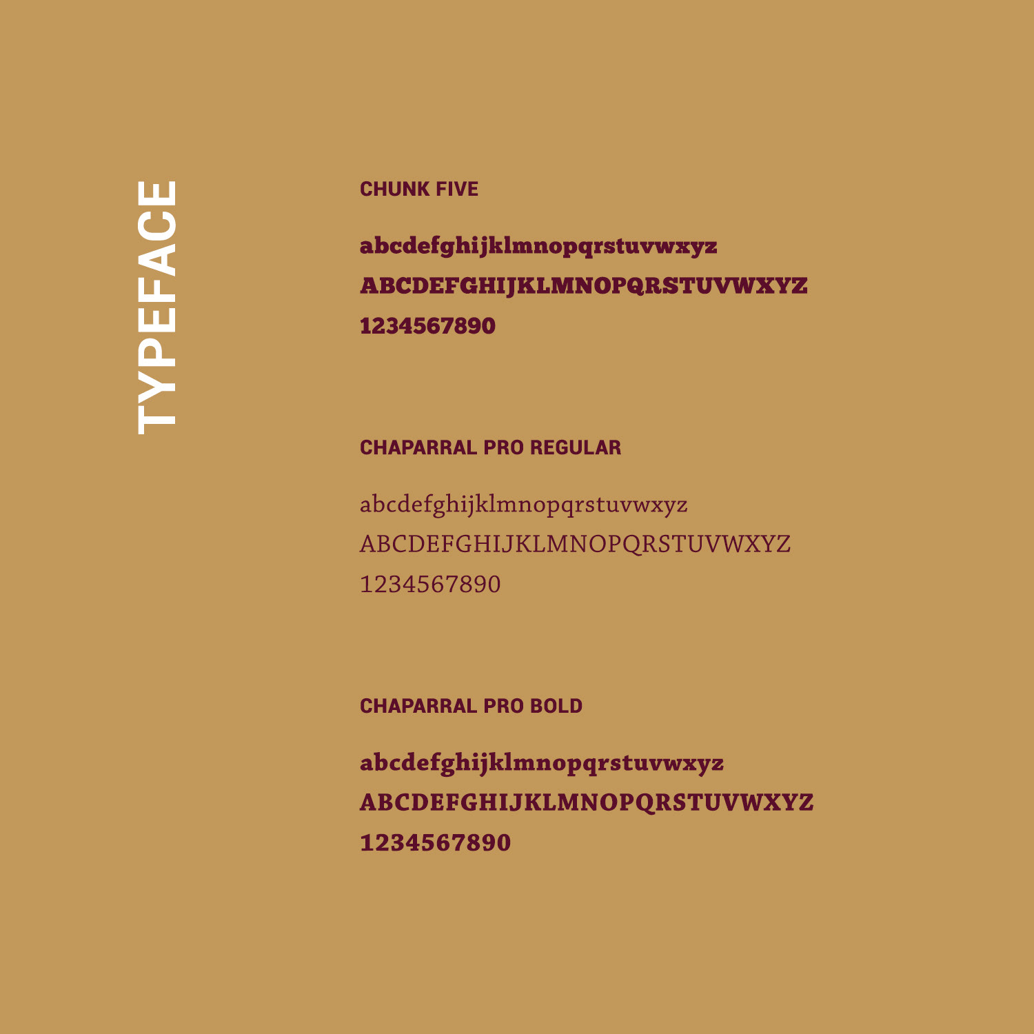 Font brand guideline