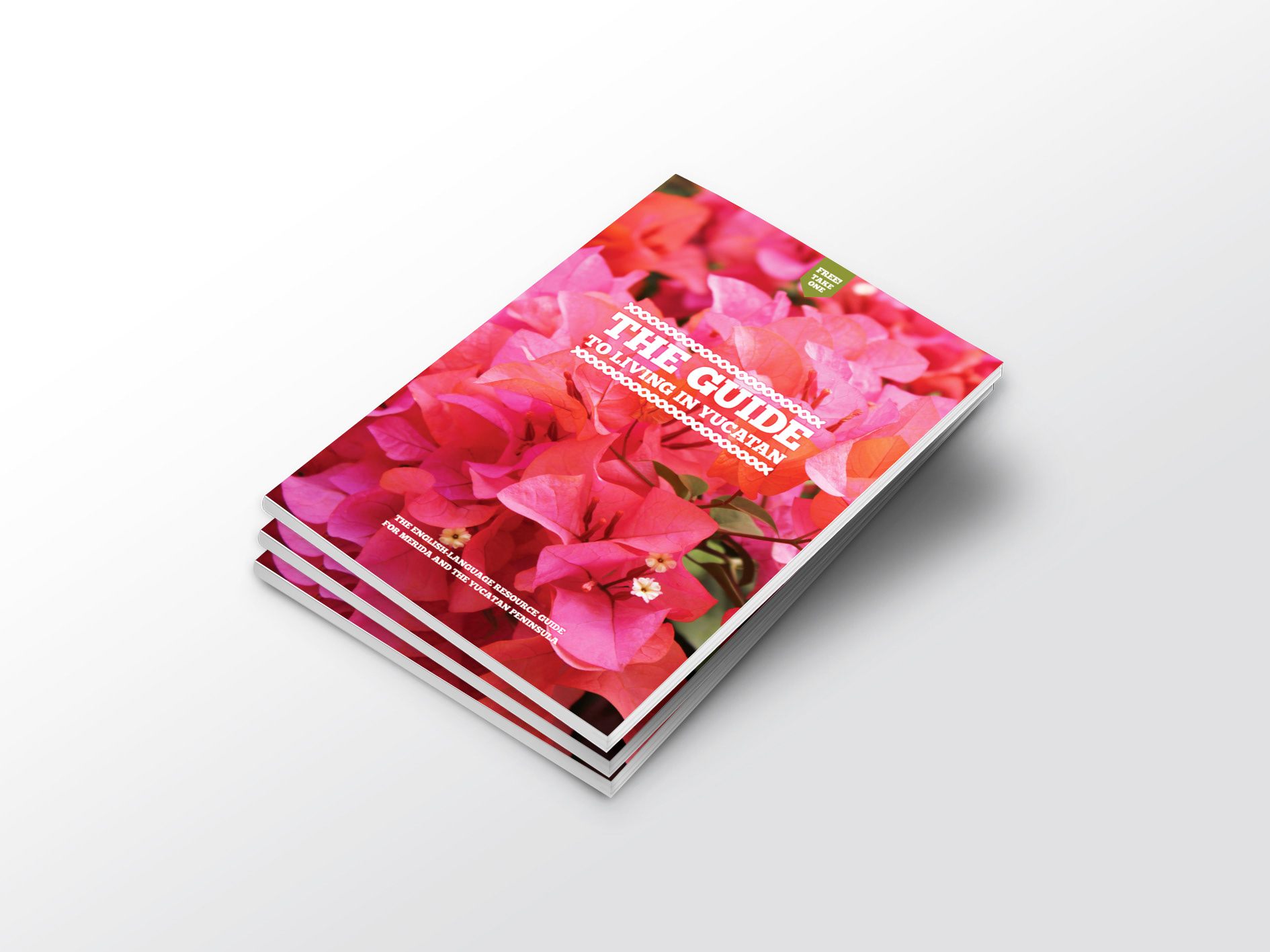 Cover of the second guide edition
