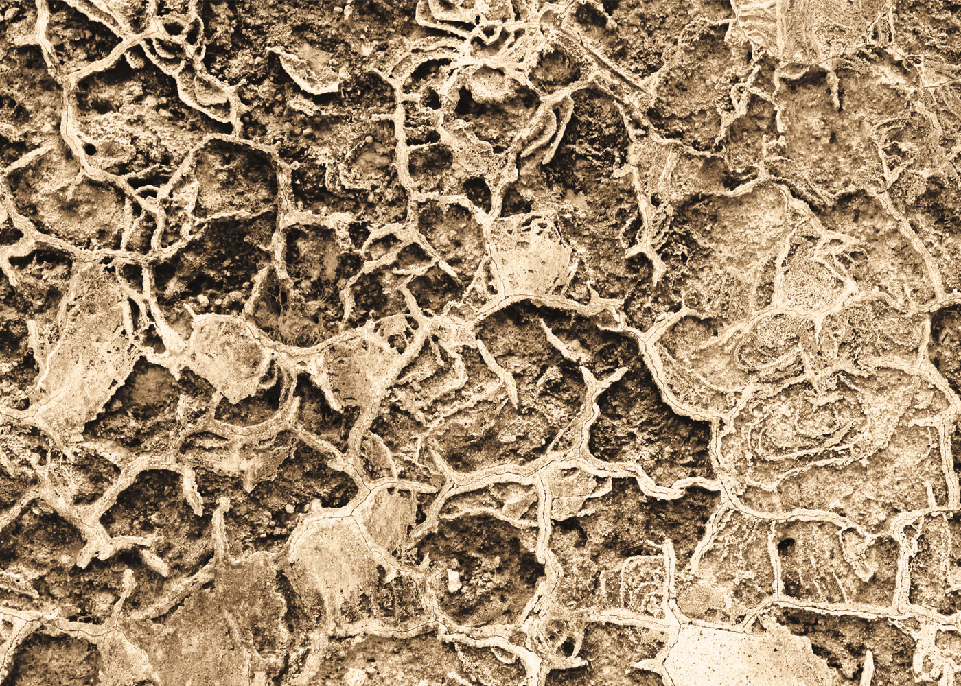 Double-page spread with a texture photo in full-width