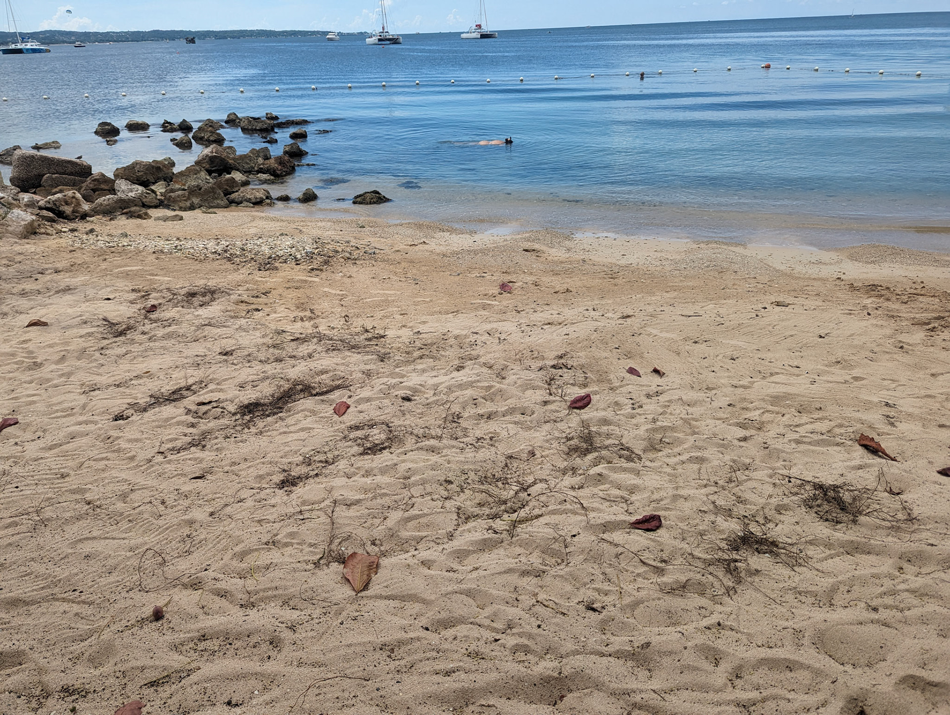 Snorkeling naked on the clothing optional beach.  Steve saw 2 barracudas...
