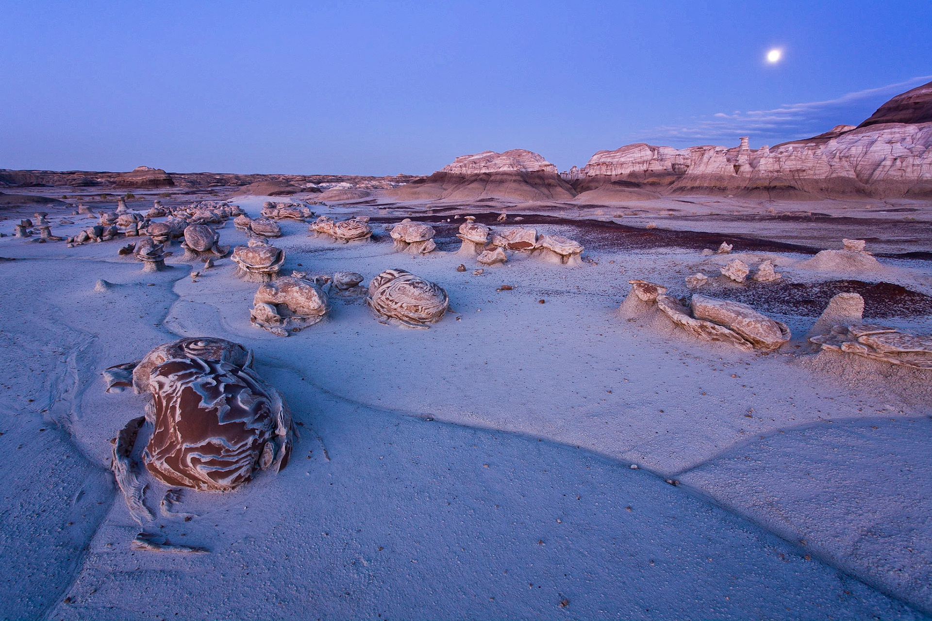 Moonlight on the Egg Factory
