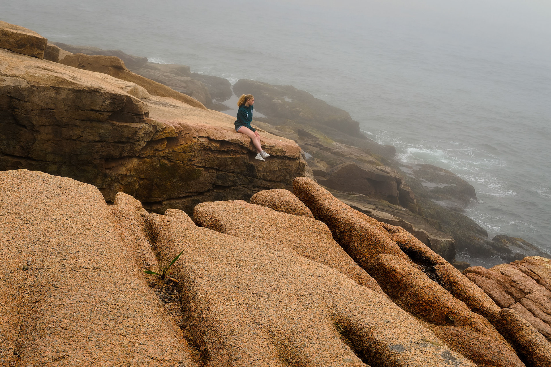 Otter Cliffs Acadia NP