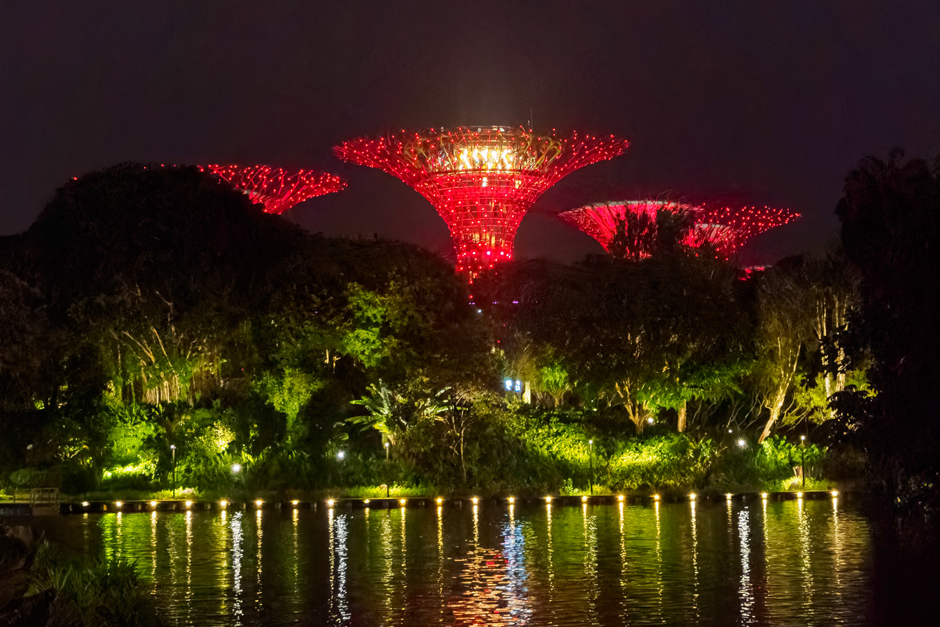 Singapore - Supertree Grove
