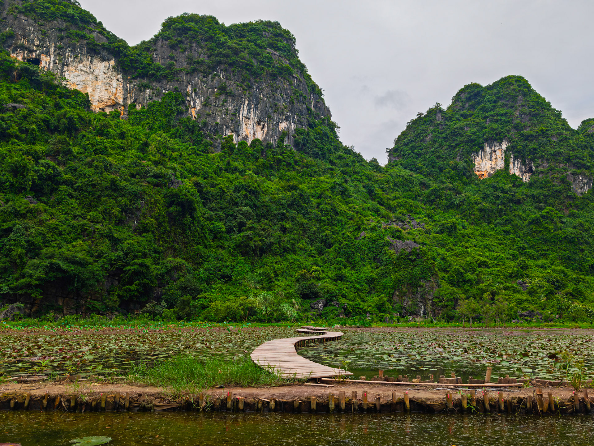 Tam Coc in the Ninh Binh Region