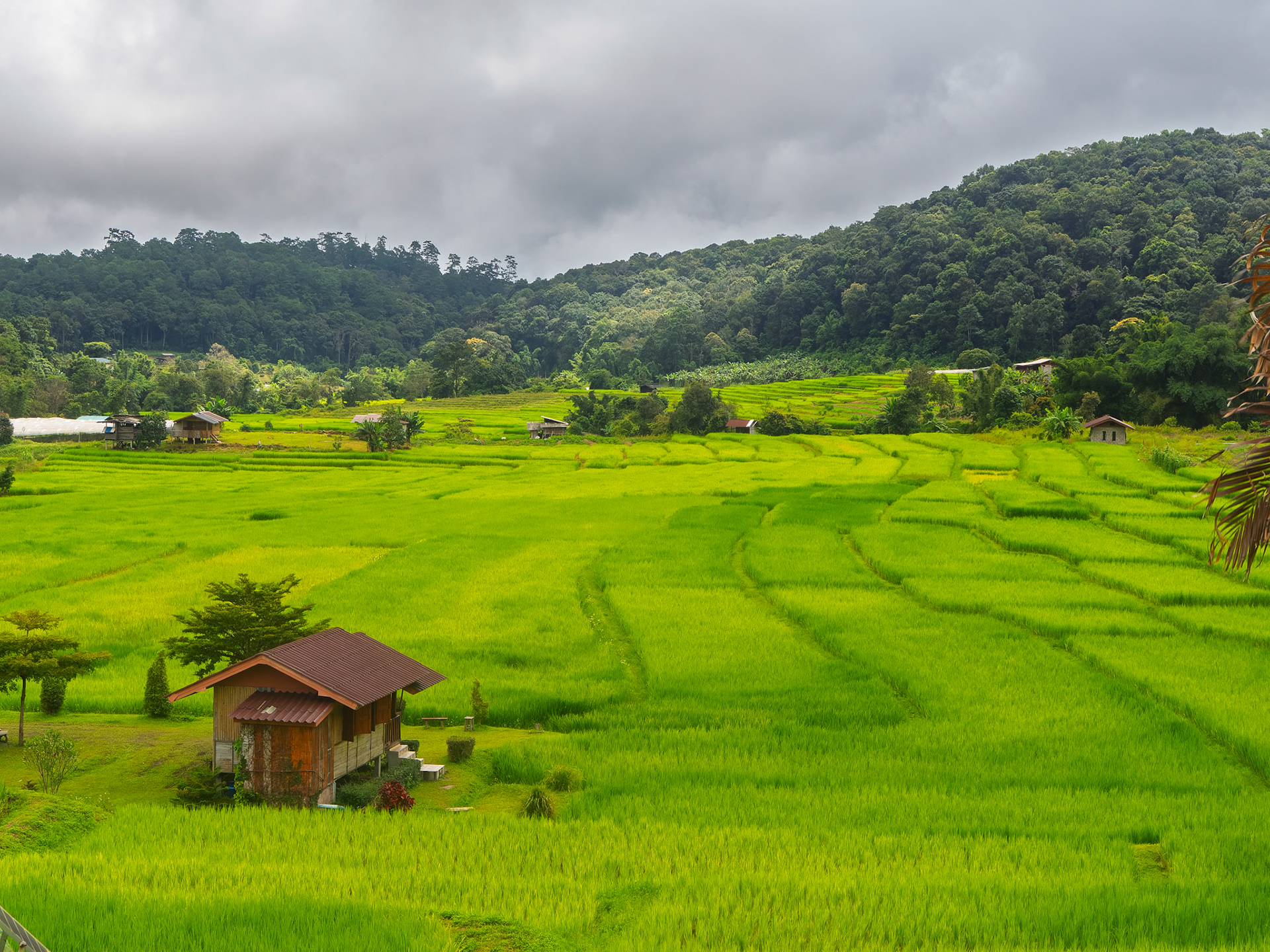 oi Inthanon National Park - Mae Klang Luang Village