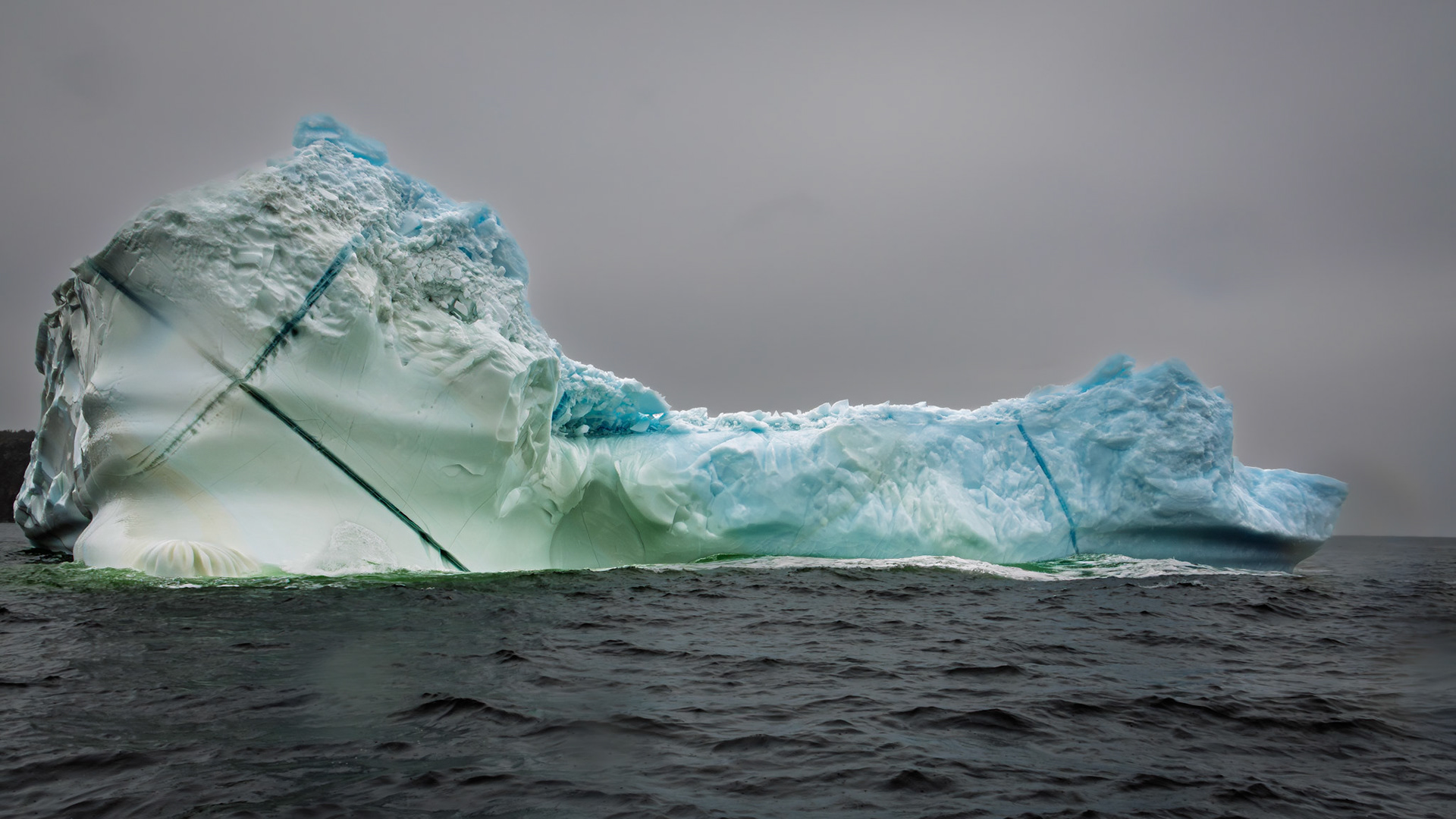 Iceberg