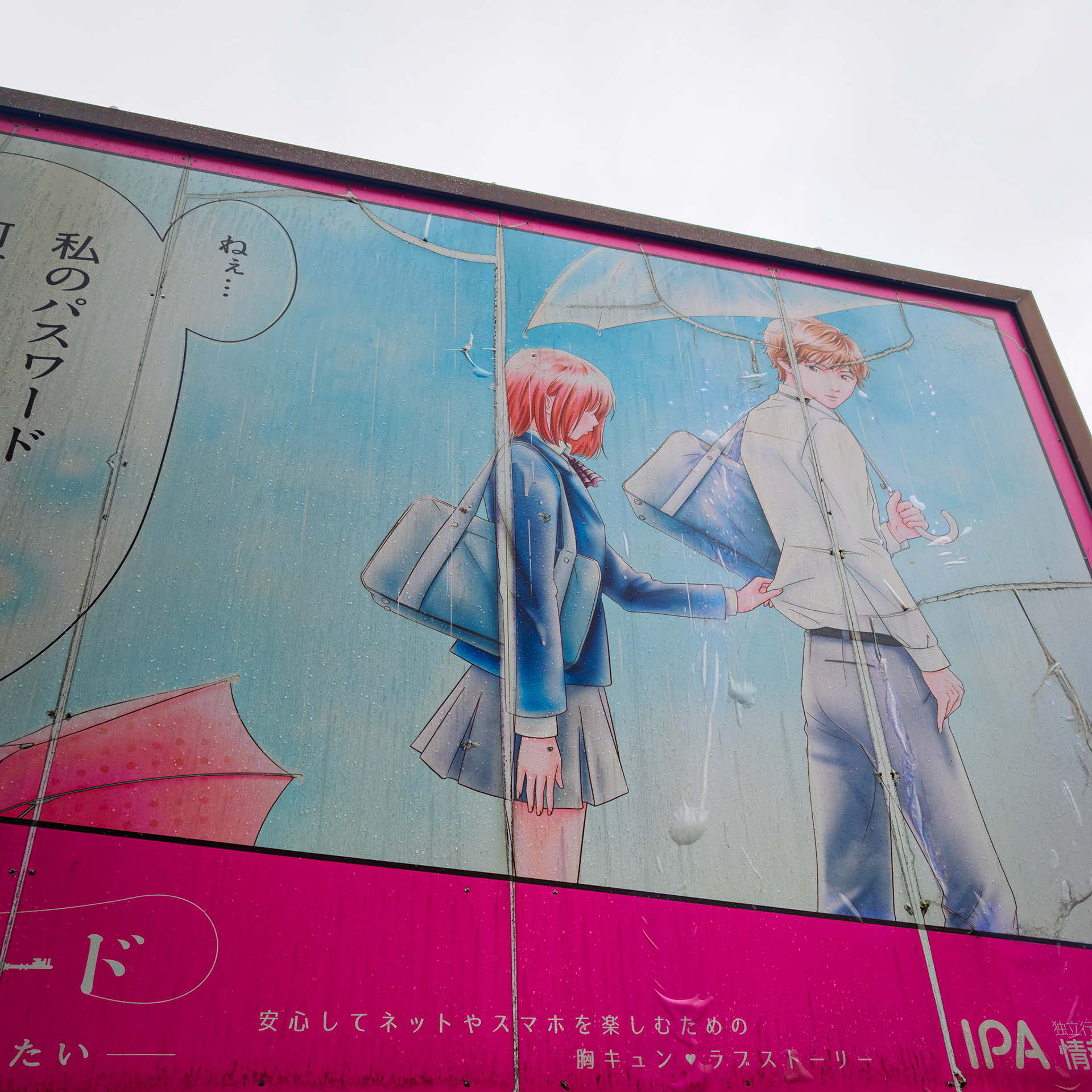 Harajuku neighborhood