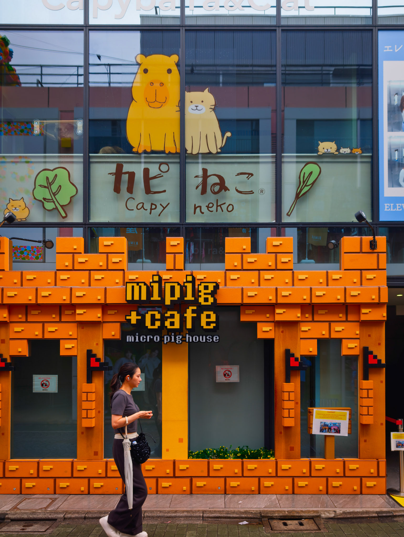 Harajuku neighborhood