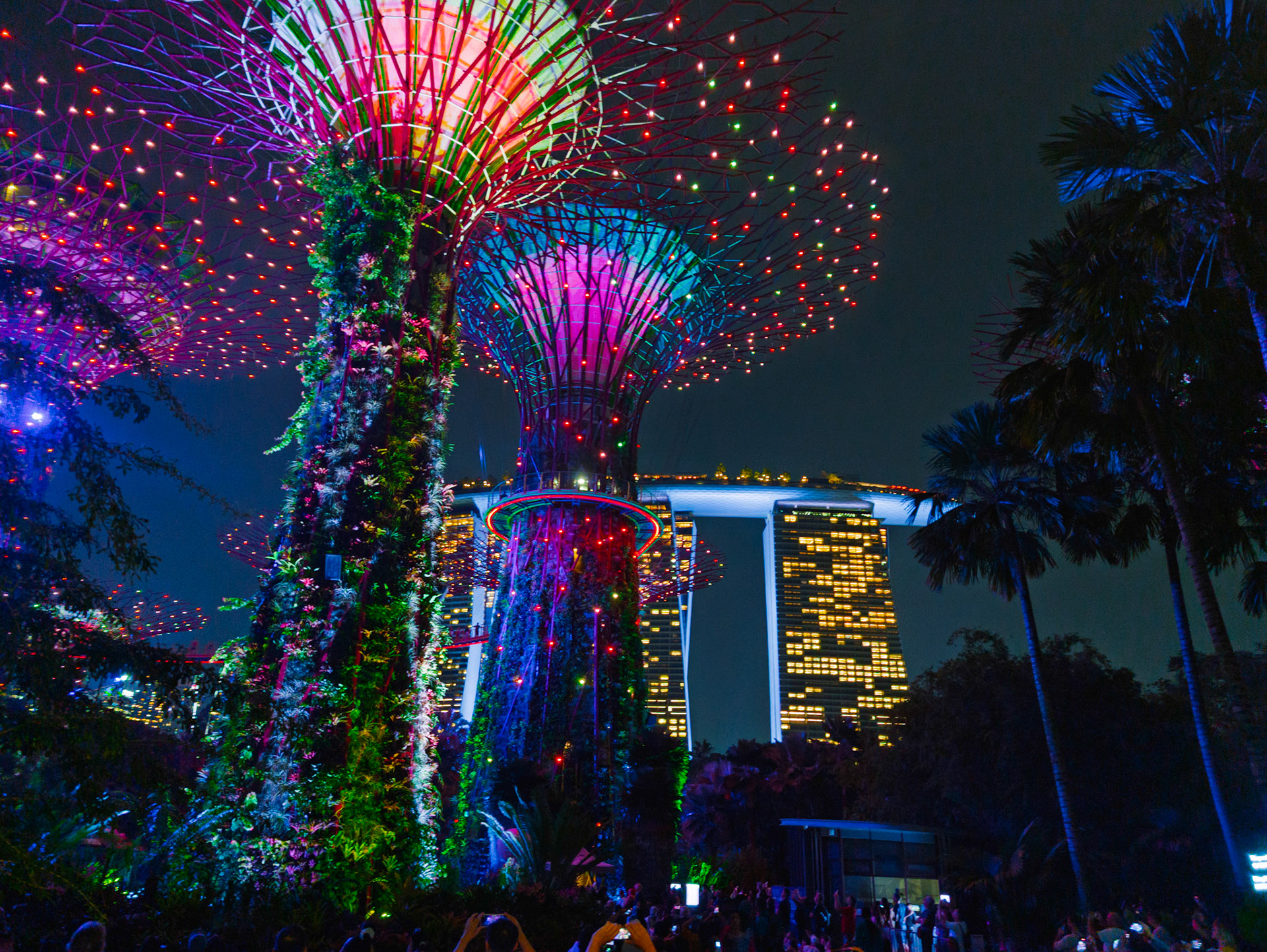 Singapore - Supertree Grove