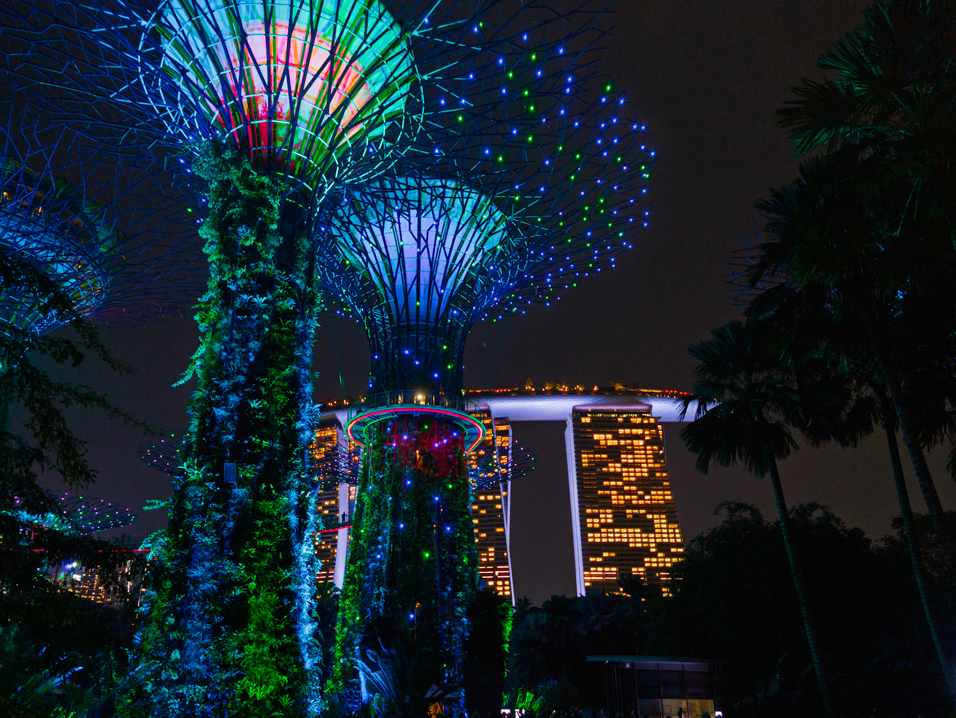 Singapore - Supertree Grove