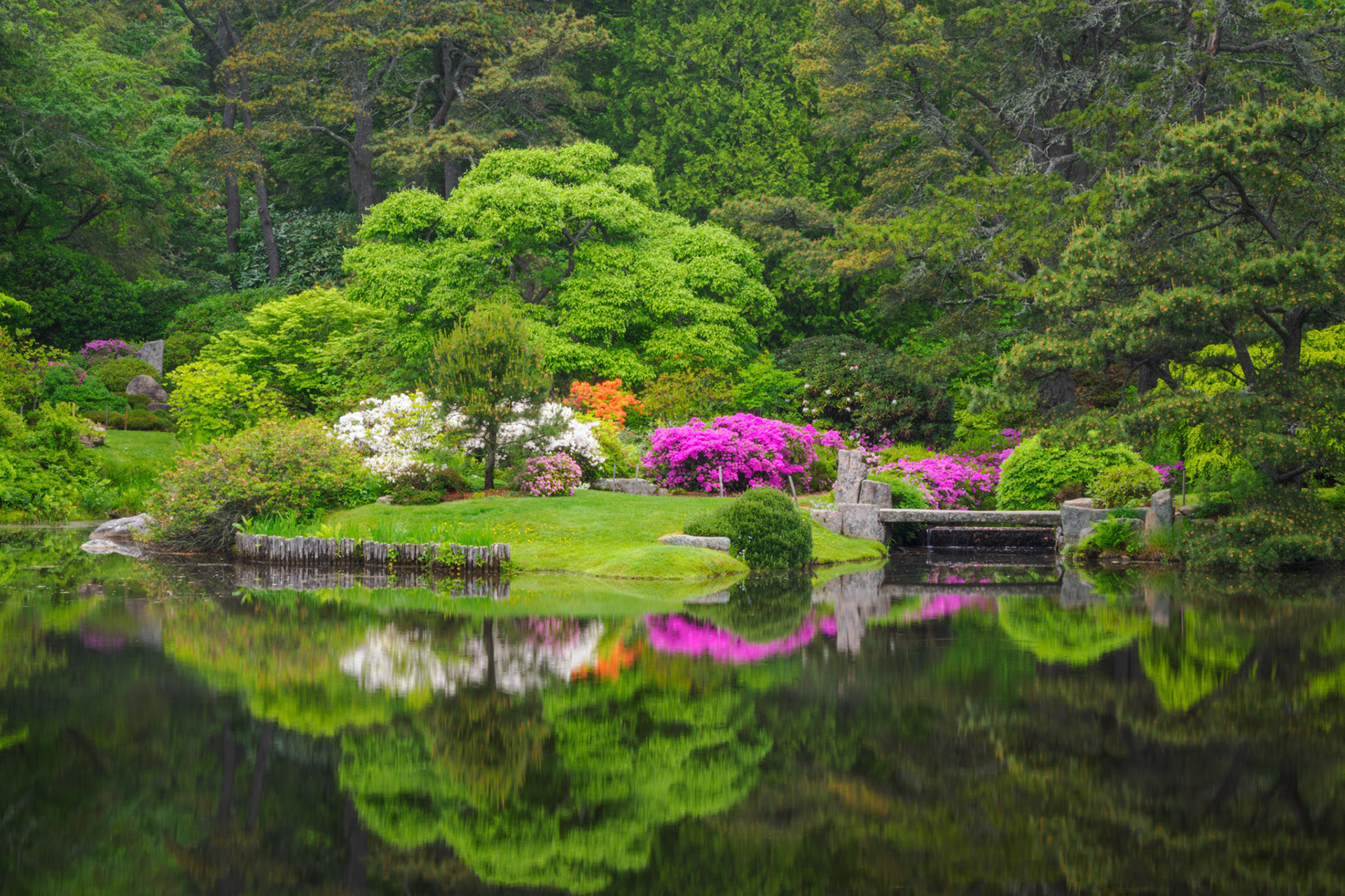 Asticou Azalea Garden