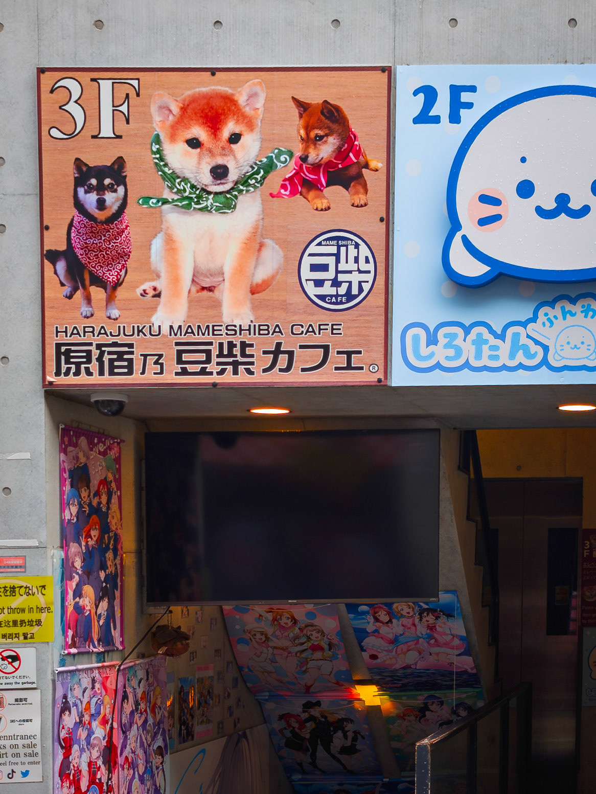 Harajuku neighborhood