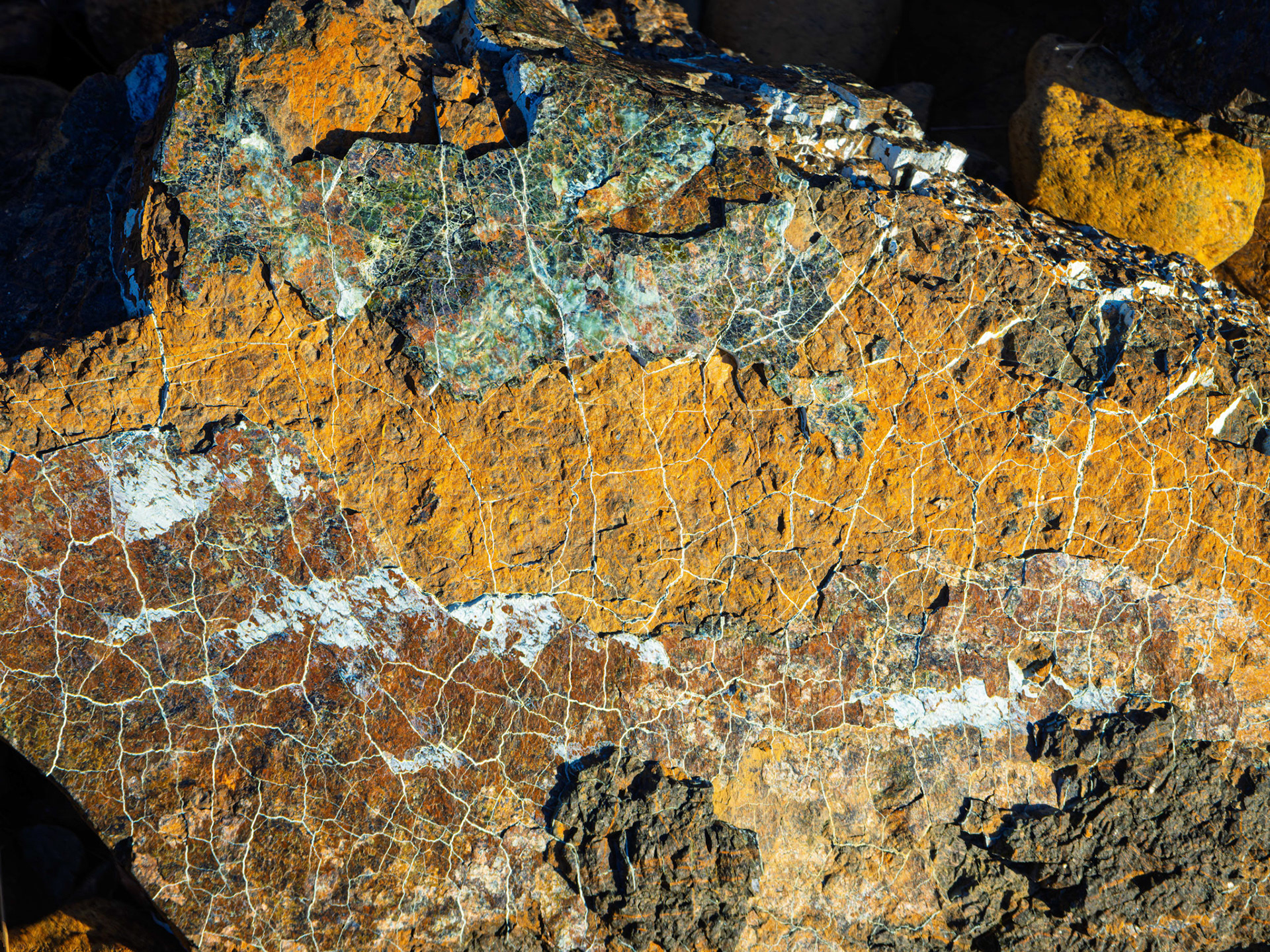 Serpentinite Rock from Tablelands