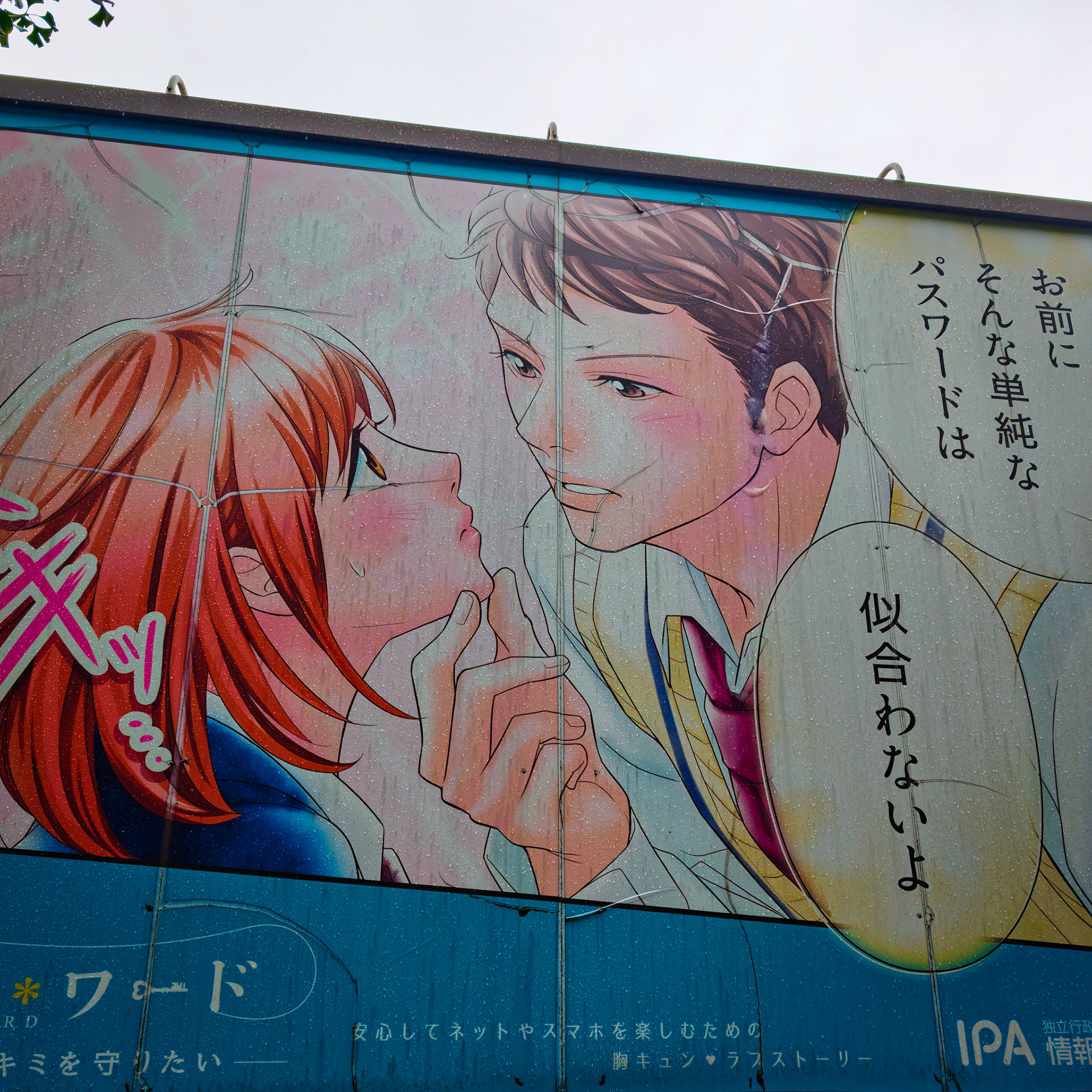 Harajuku neighborhood