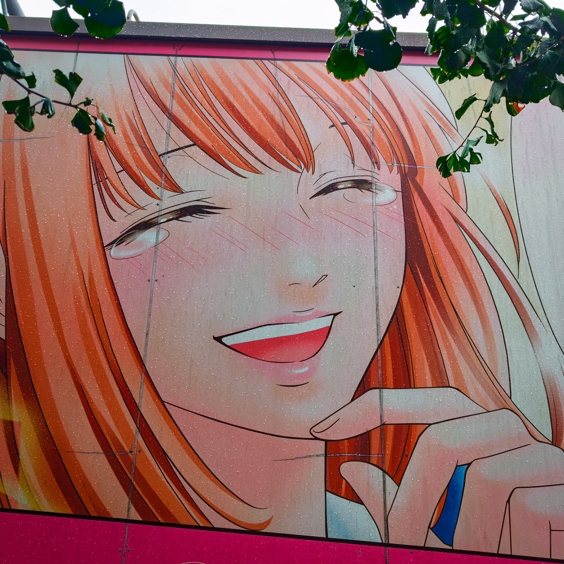 Harajuku neighborhood