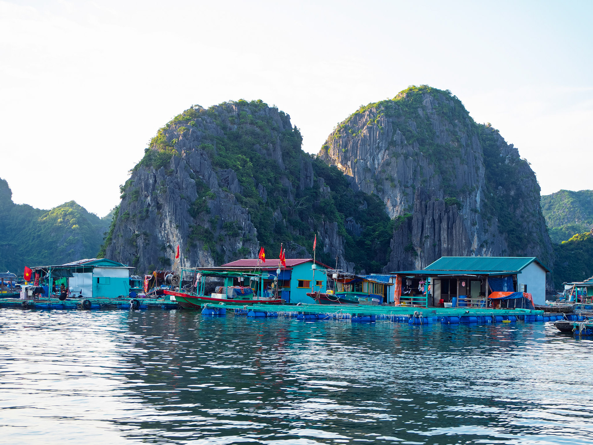 Cat Ba Island -Cai Beo Floating fishing village