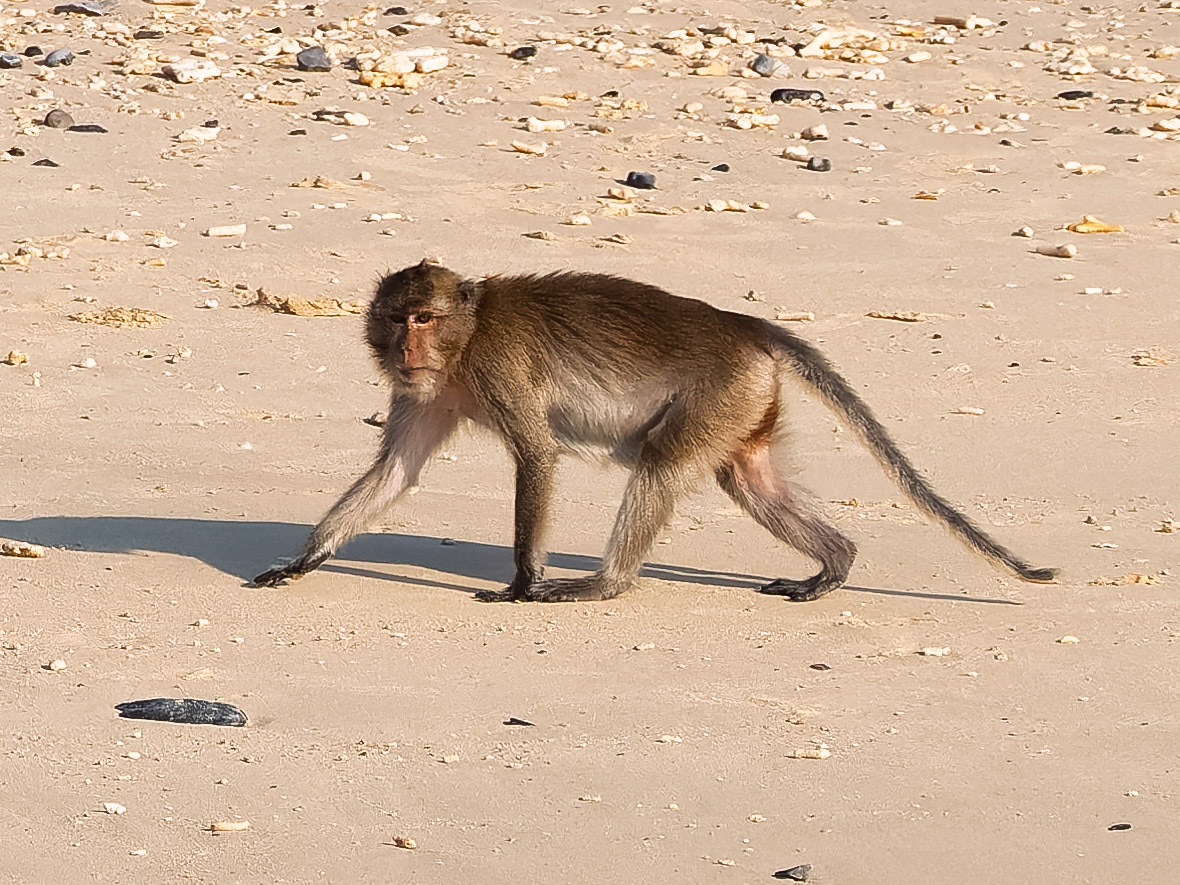 Cat Ba Island Boat Tour of Lan Ha Bay