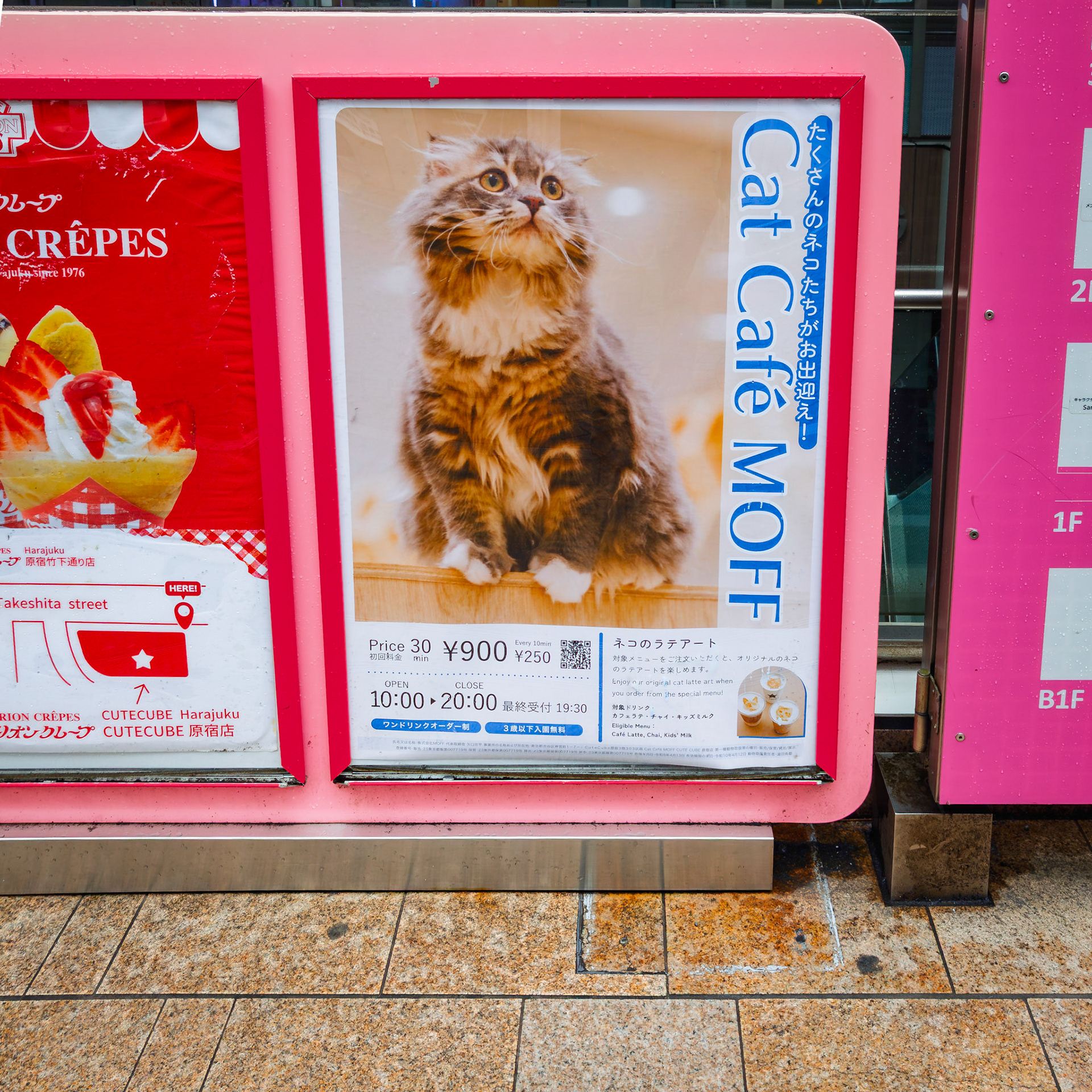 Harajuku neighborhood