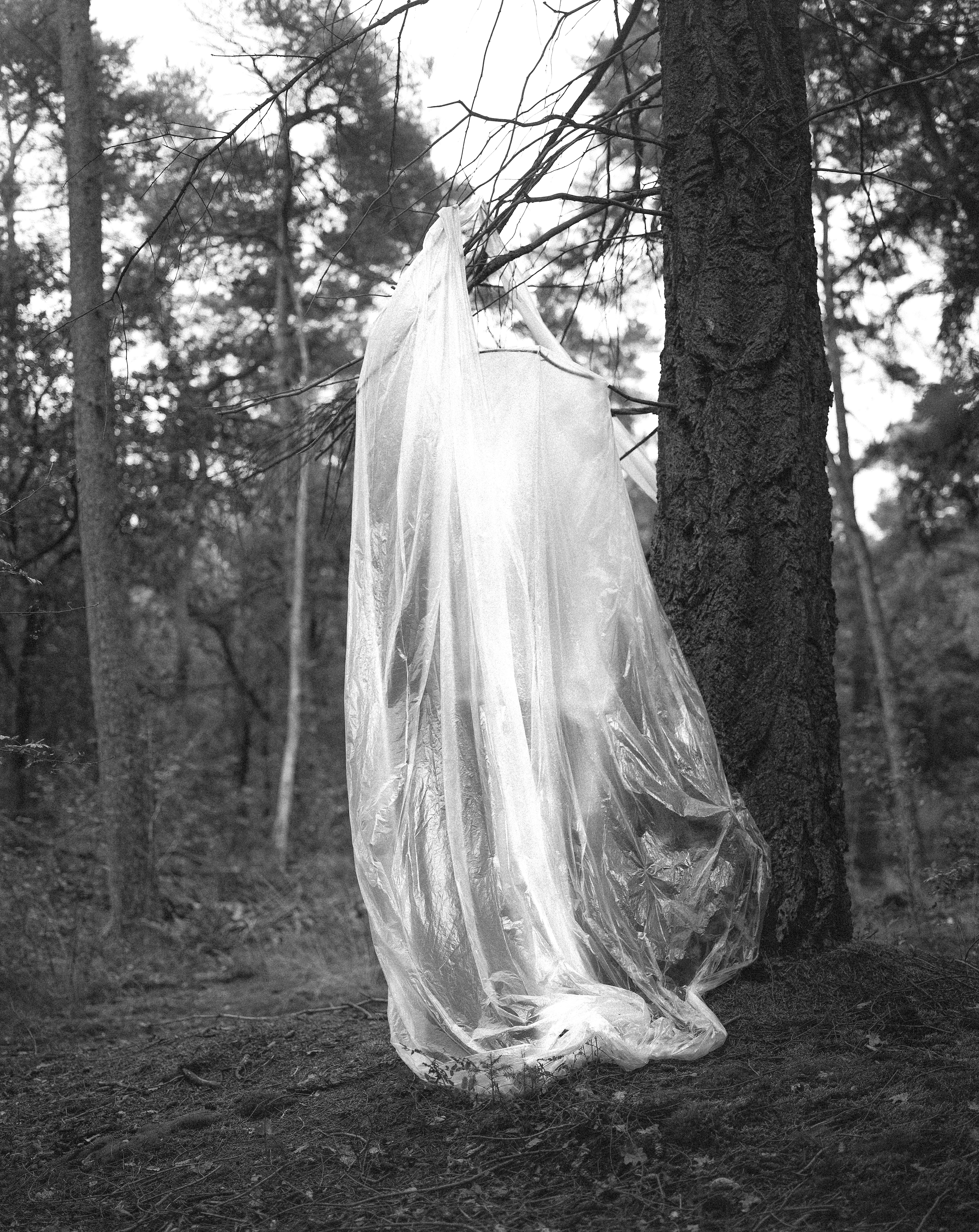 Large format black and white photograph