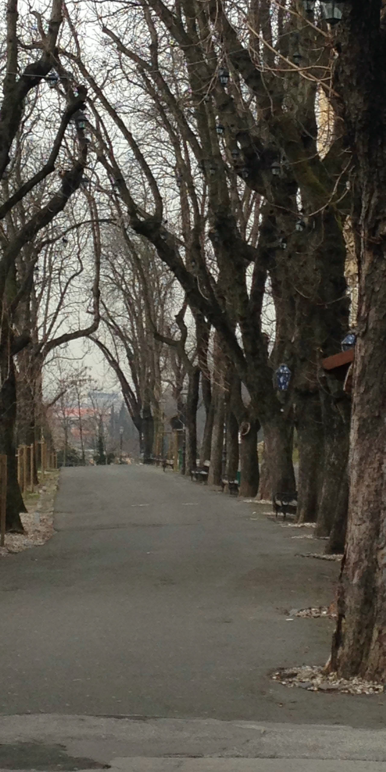Zagreb
