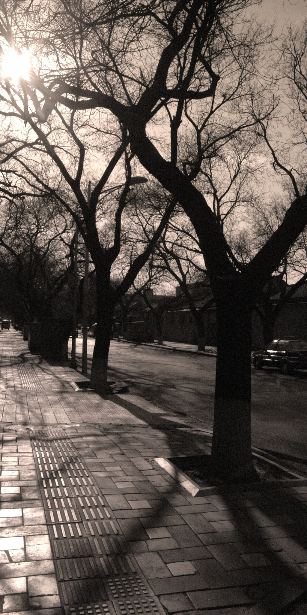 Forbidden City