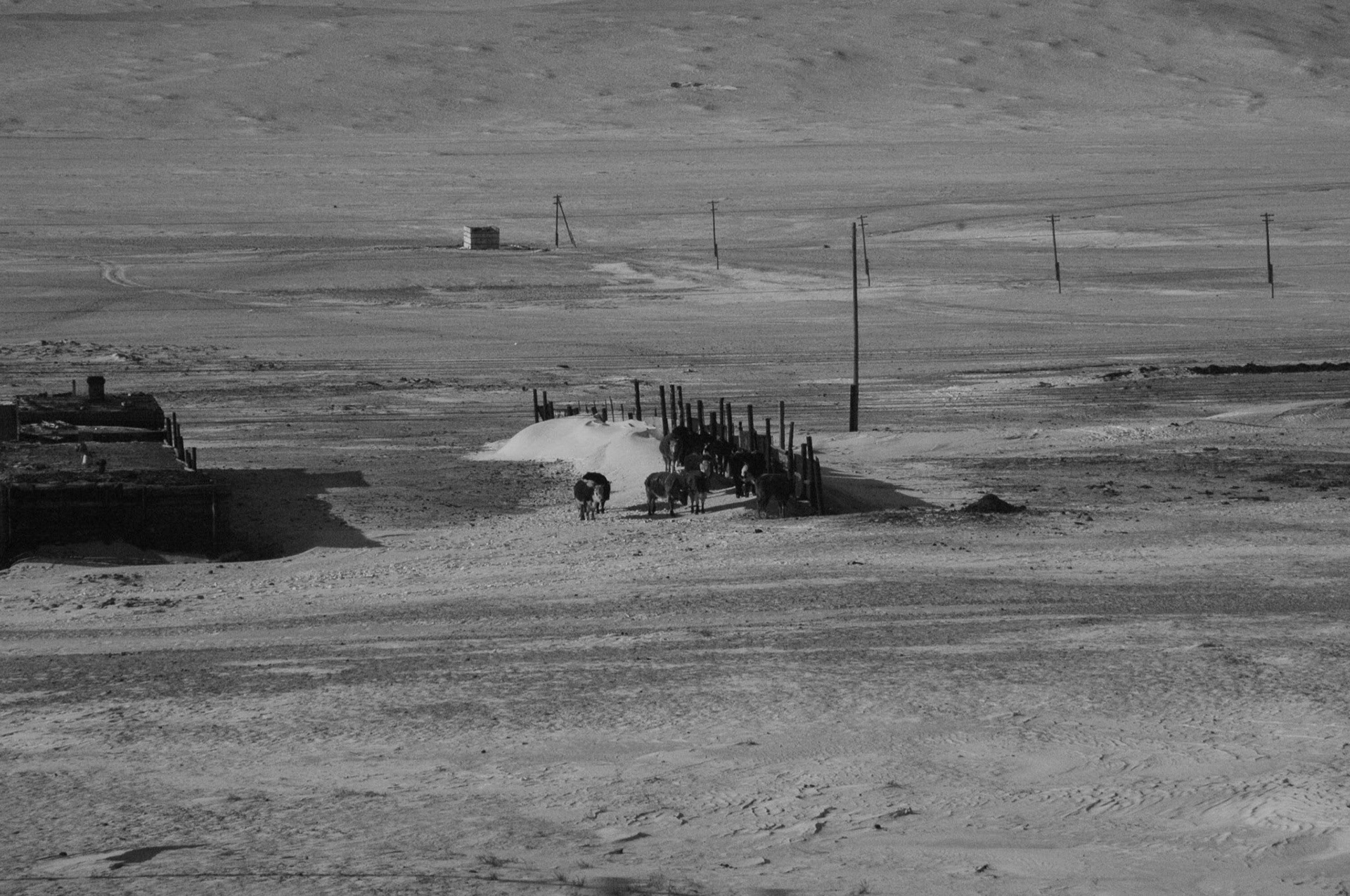 Gobi Desert