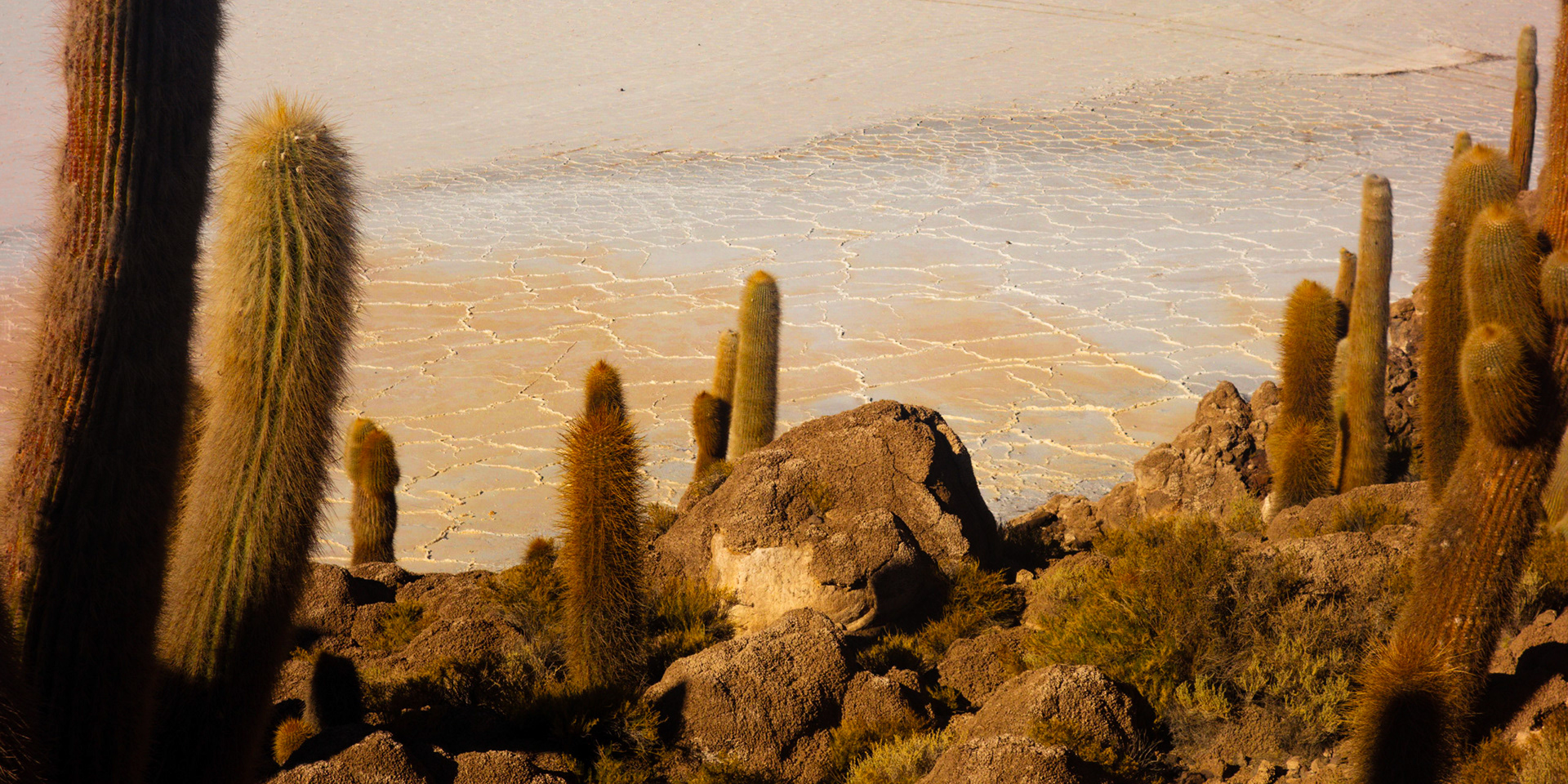 Salt Flats