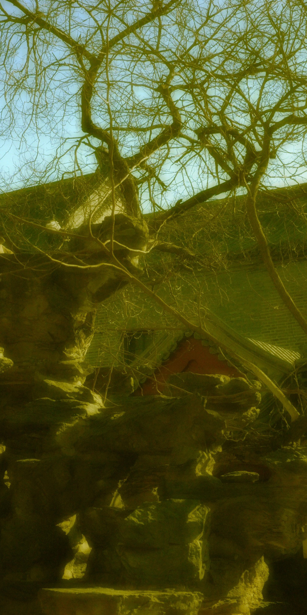 Chinese Buddhist Temple