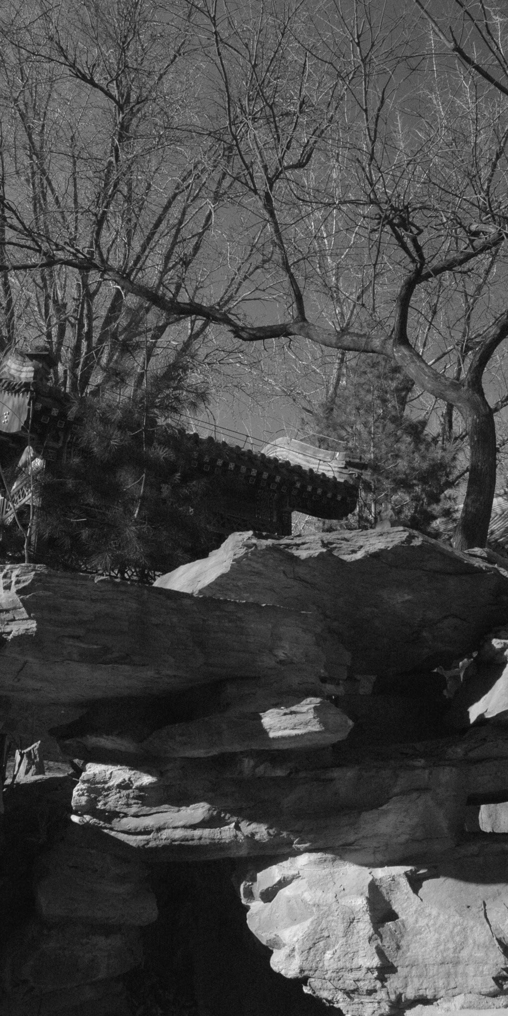 Chinese Buddhist Temple