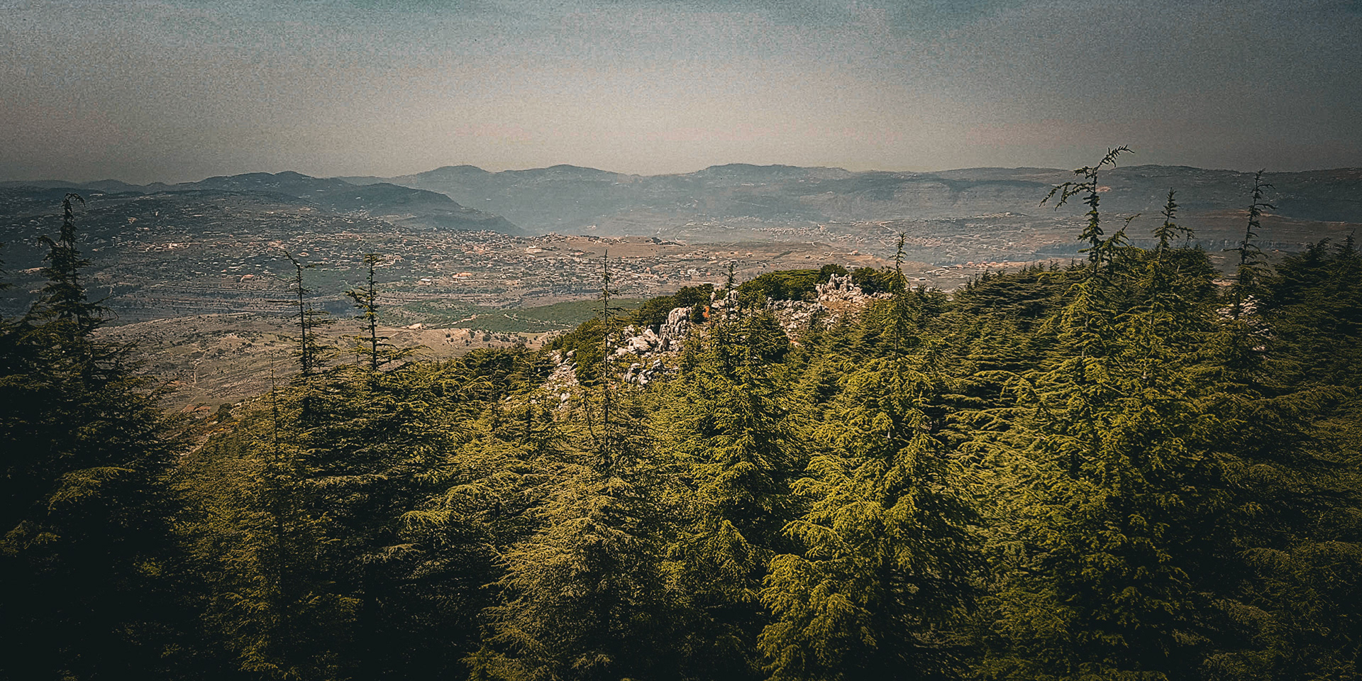 Al Shouf Cedar Forest