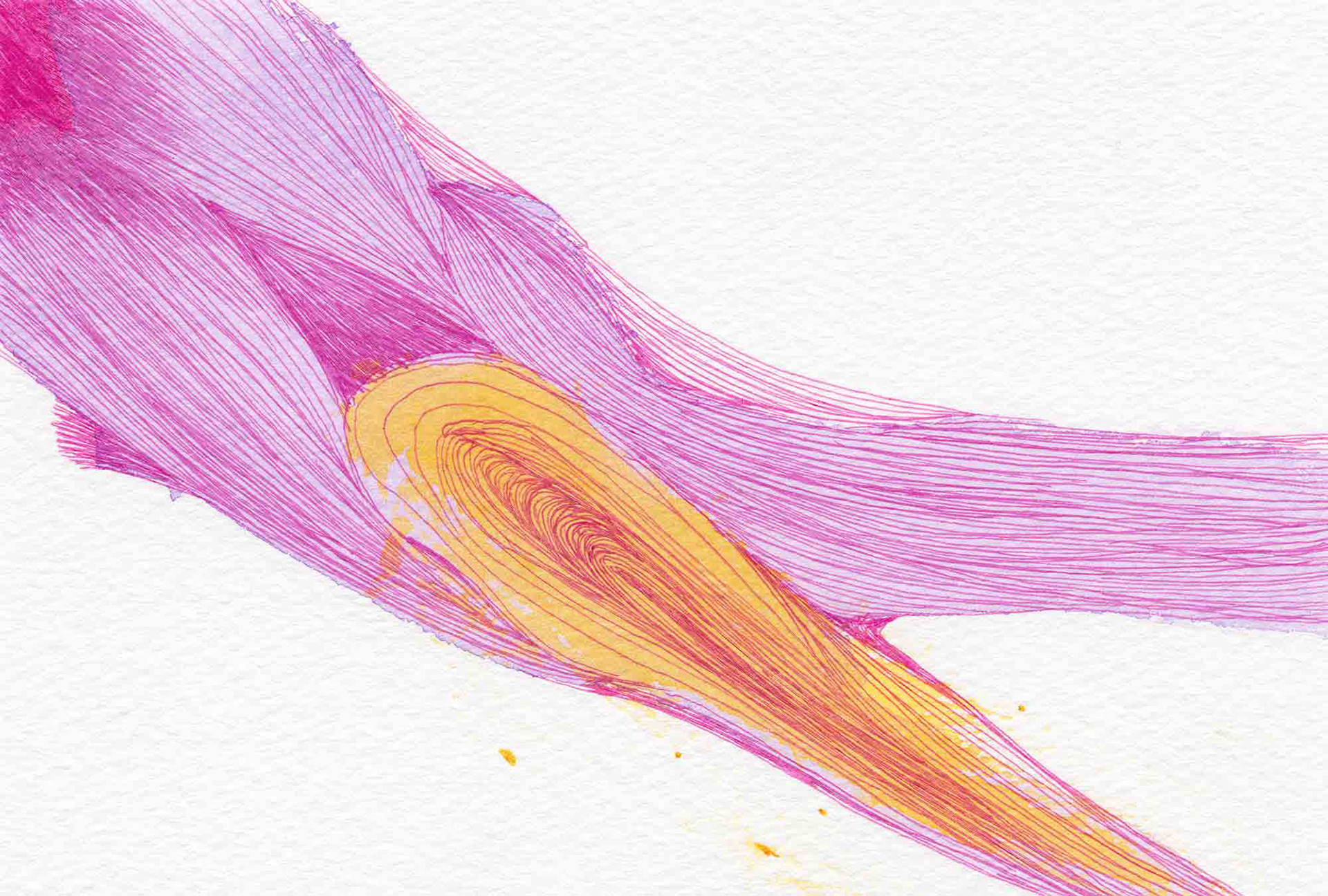 Shoots [#SS16DW049] 2016, Watercolor and Pen on Acid-free Paper, 3.9 x 5.8 in. / 100 x 148 mm