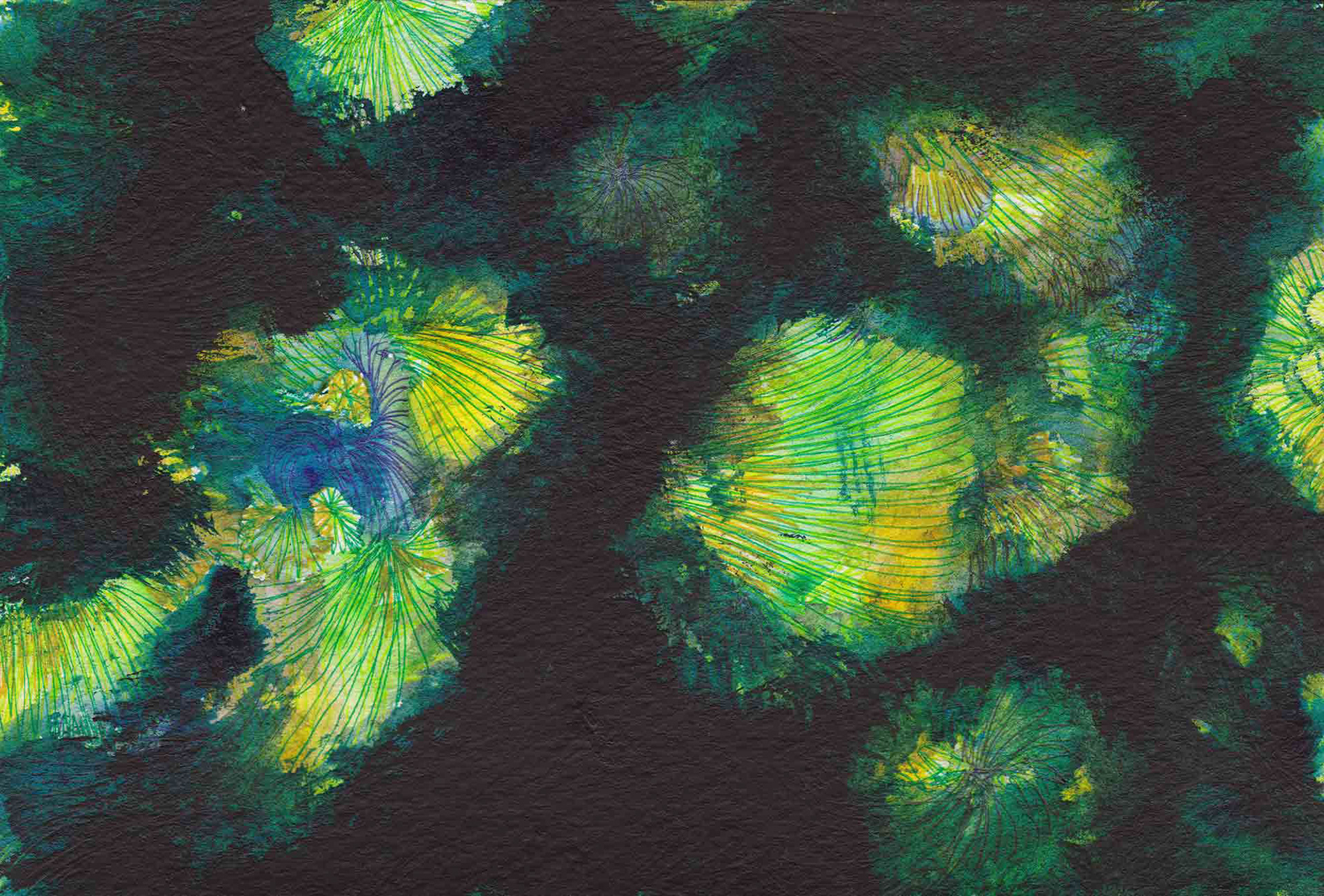 Stars [#SS16DW051] 2016, Watercolor and Pen on Acid-free Paper, 3.9 x 5.8 in. / 100 x 148 mm