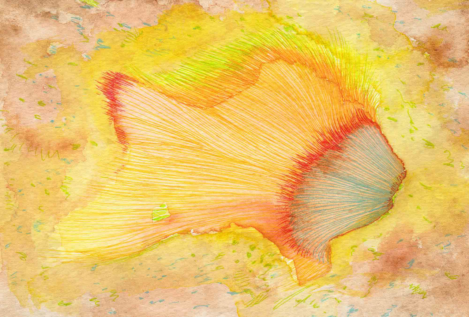 Goldfish [#SS16DW039] 2016, Watercolor and Pen on Acid-free Paper, 3.9 x 5.8 in. / 100 x 148 mm