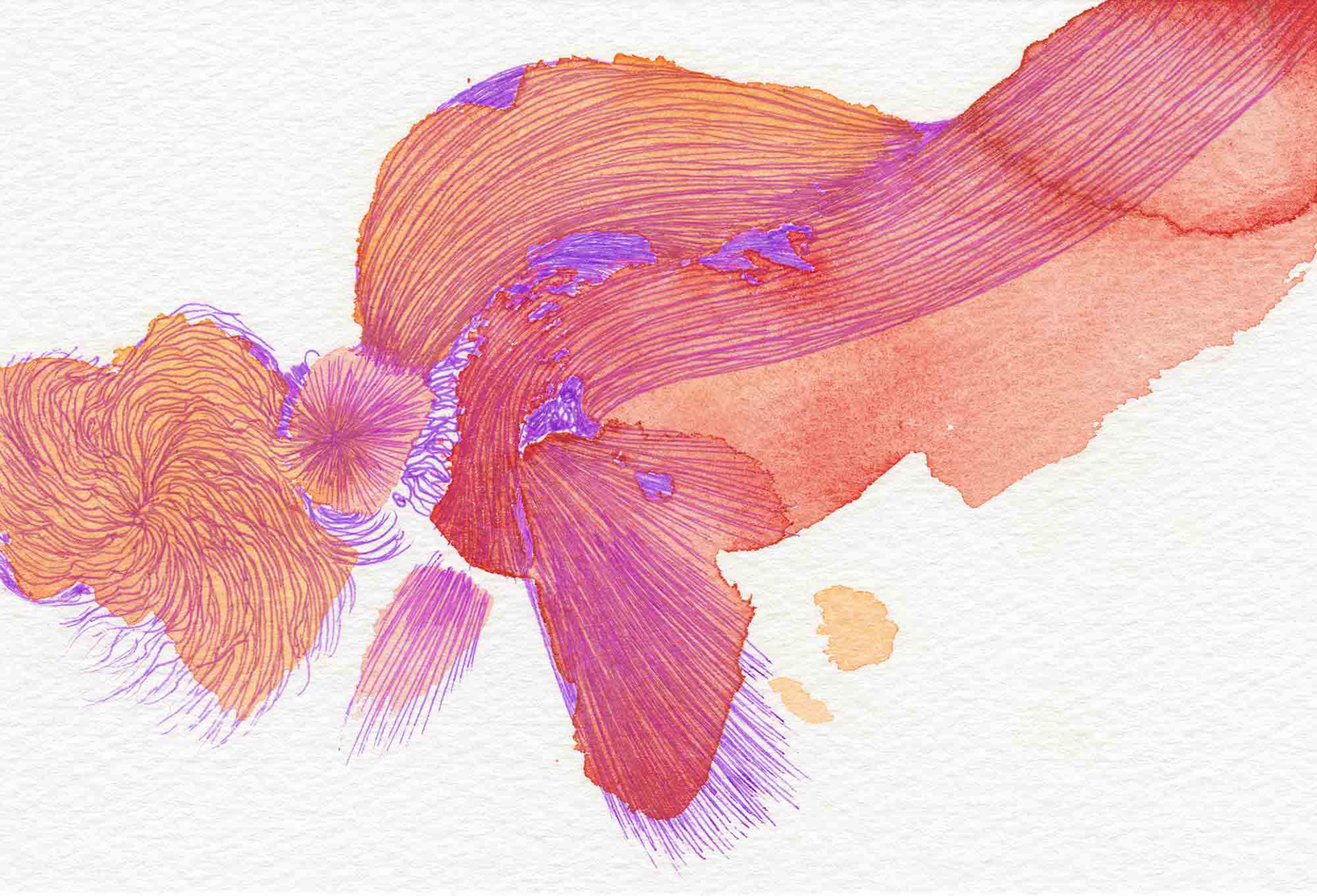 Carp [#SS16DW040] 2016, Watercolor and Pen on Acid-free Paper, 3.9 x 5.8 in. / 100 x 148 mm