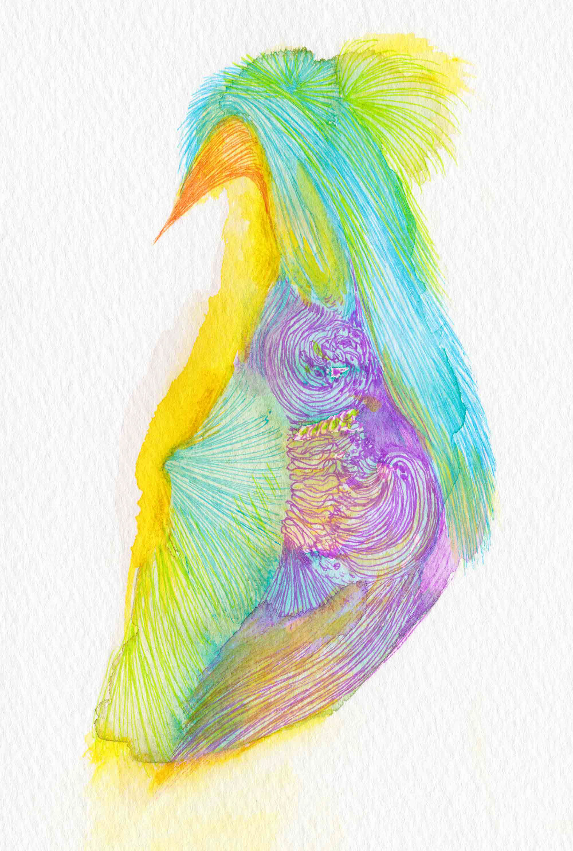 Heron [#SS16DW038] 2016, Watercolor and Pen on Acid-free Paper, 5.8 x 3.9 in. / 148 x 100 mm