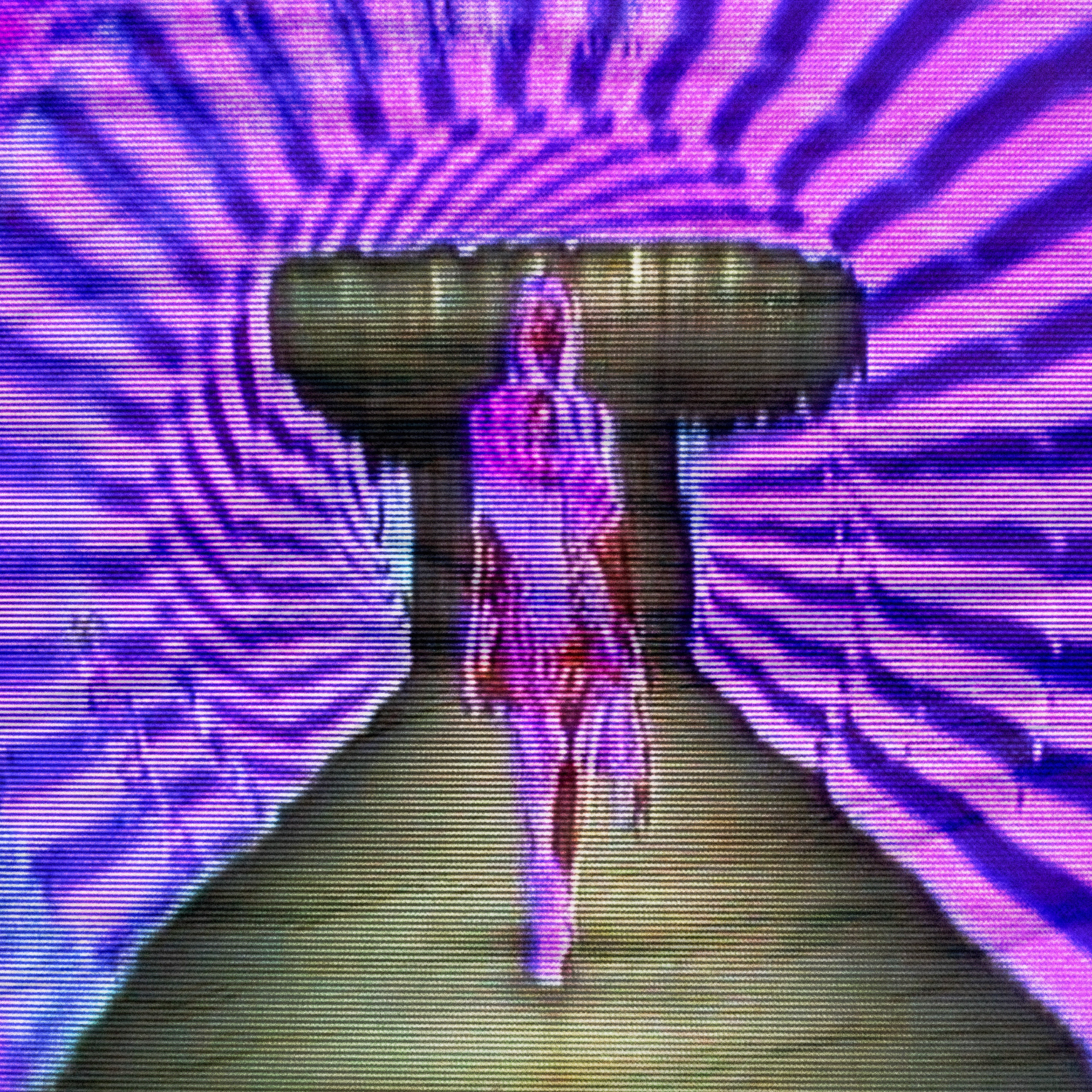 We Move Like Scissors Through Silk / Vivisected and Vain