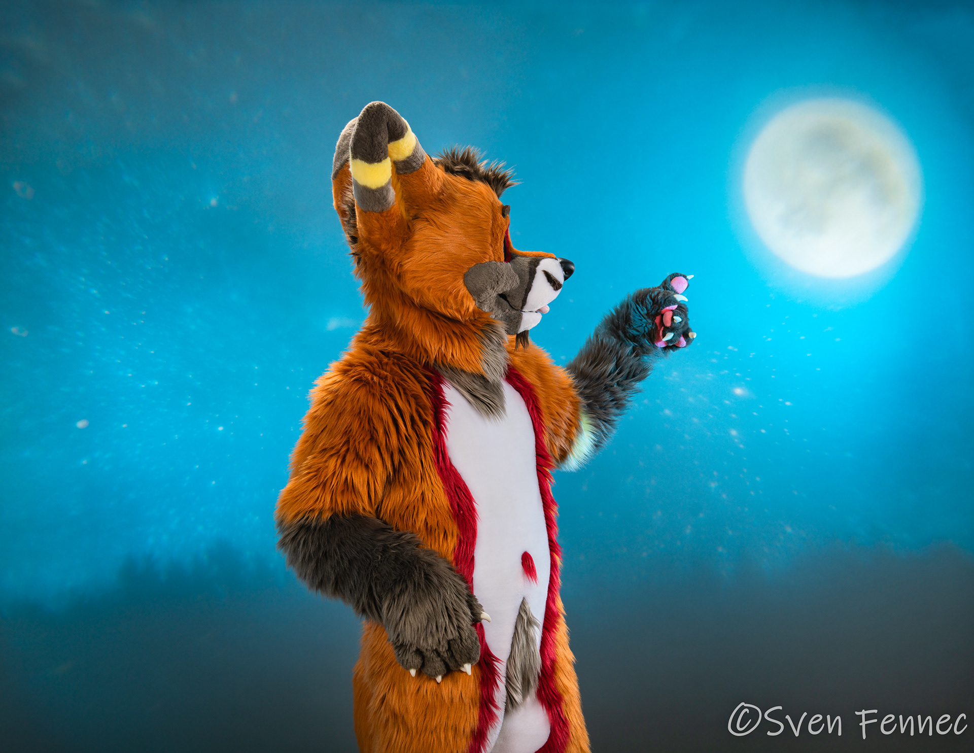 Sven Fennec Photography Photos of Sven