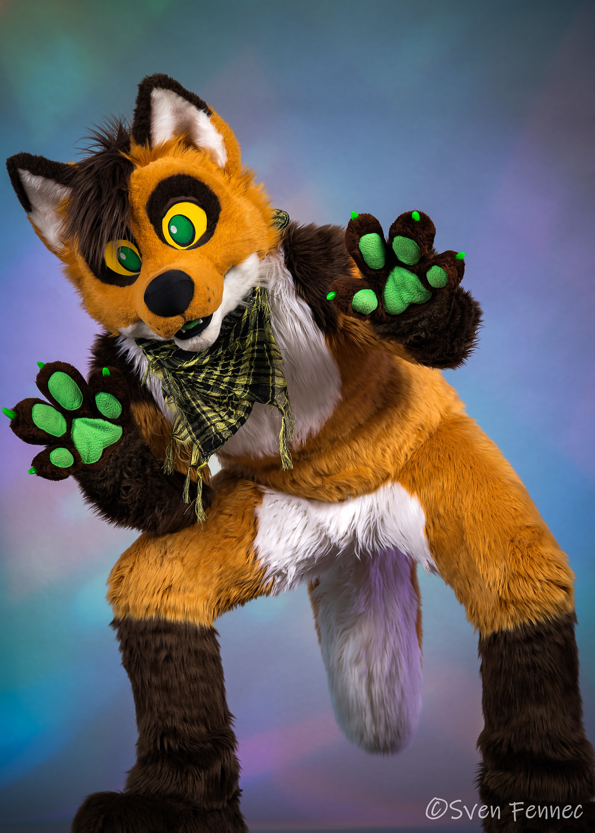 Sven Fennec Photography - 2018-2020 Studio Fursuit Portraits