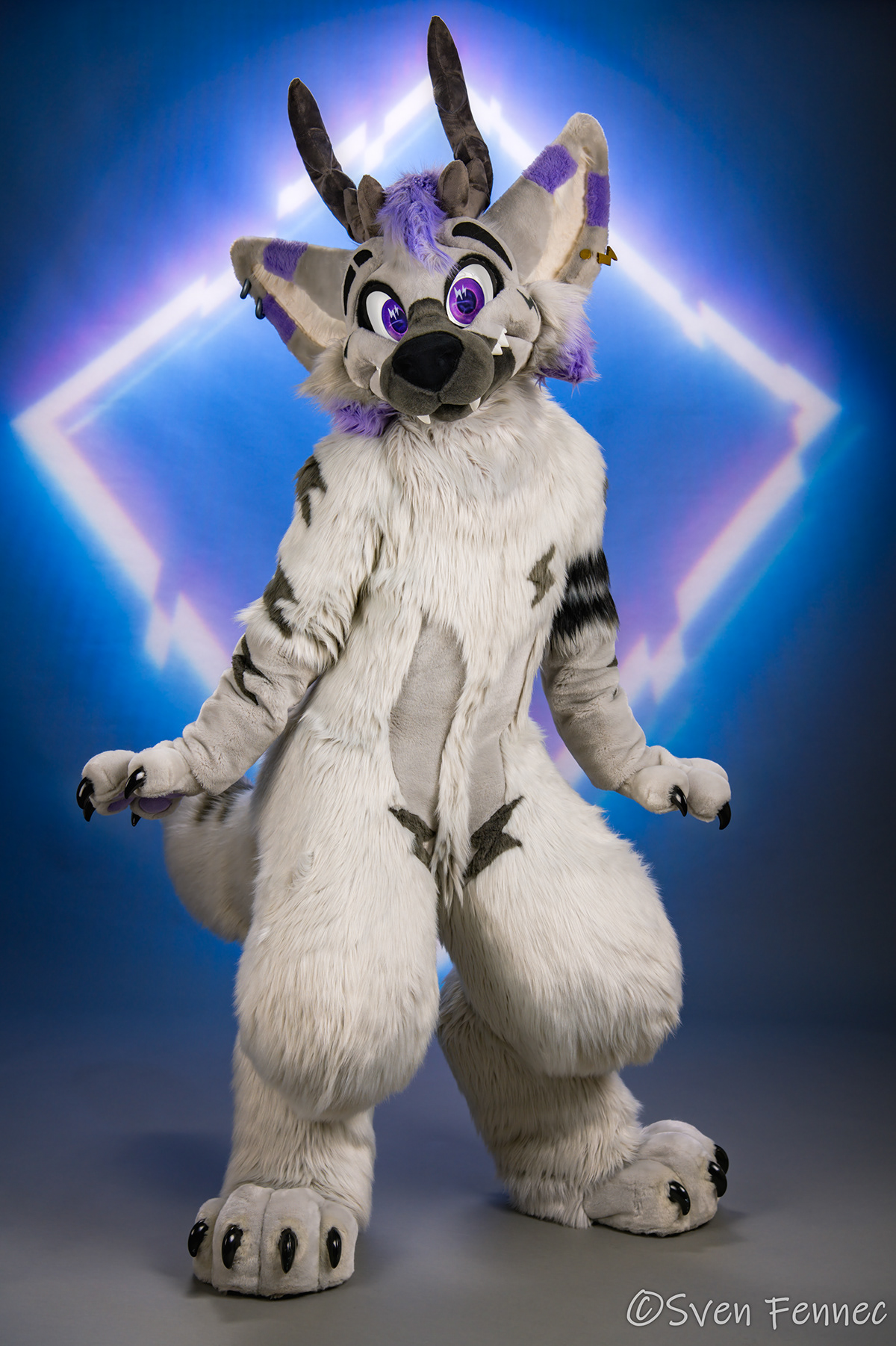 Sven Fennec Photography - Studio Fursuit Portraits