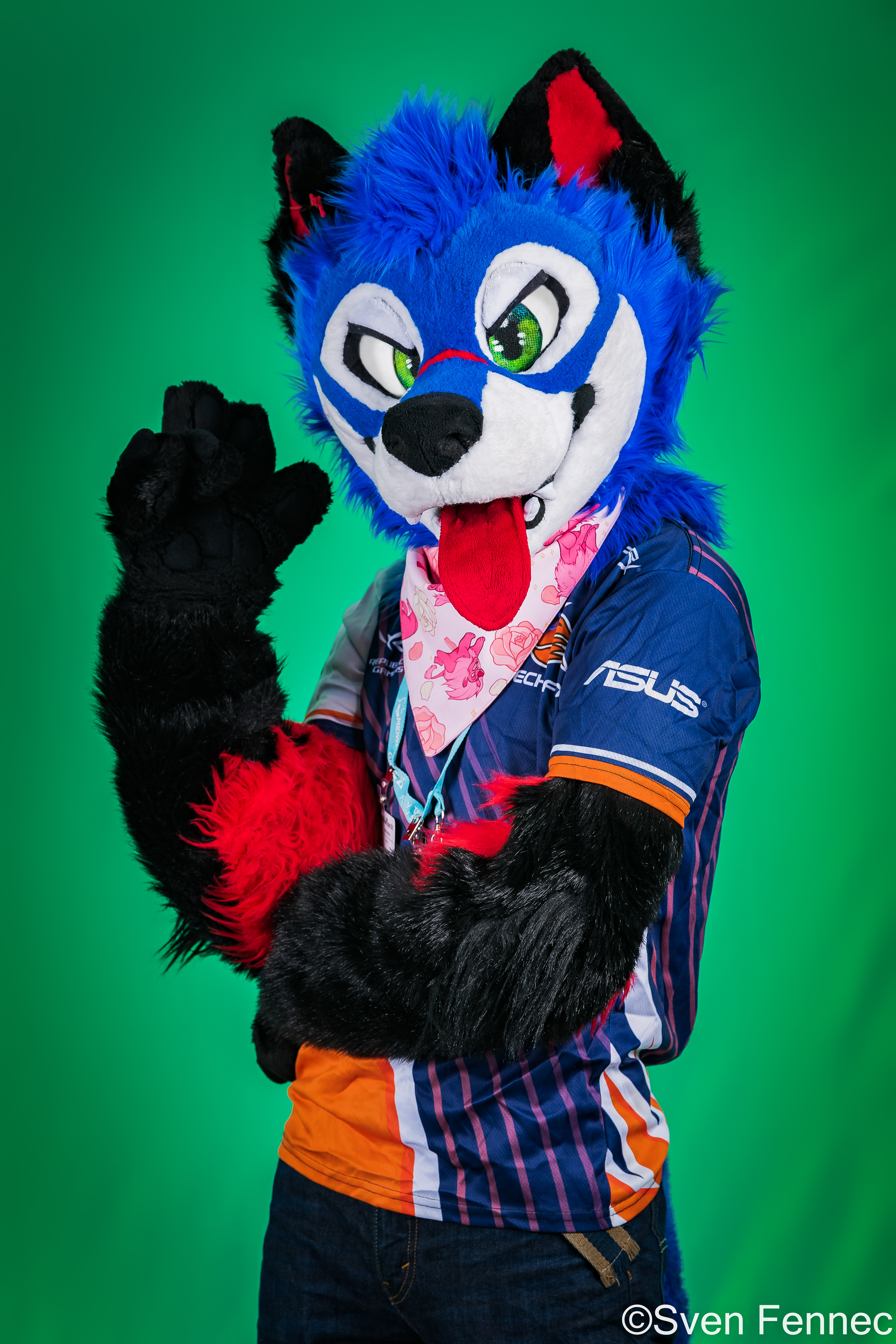 SonicFox