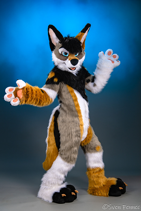 Sven Fennec Photography Studio Fursuit Portraits