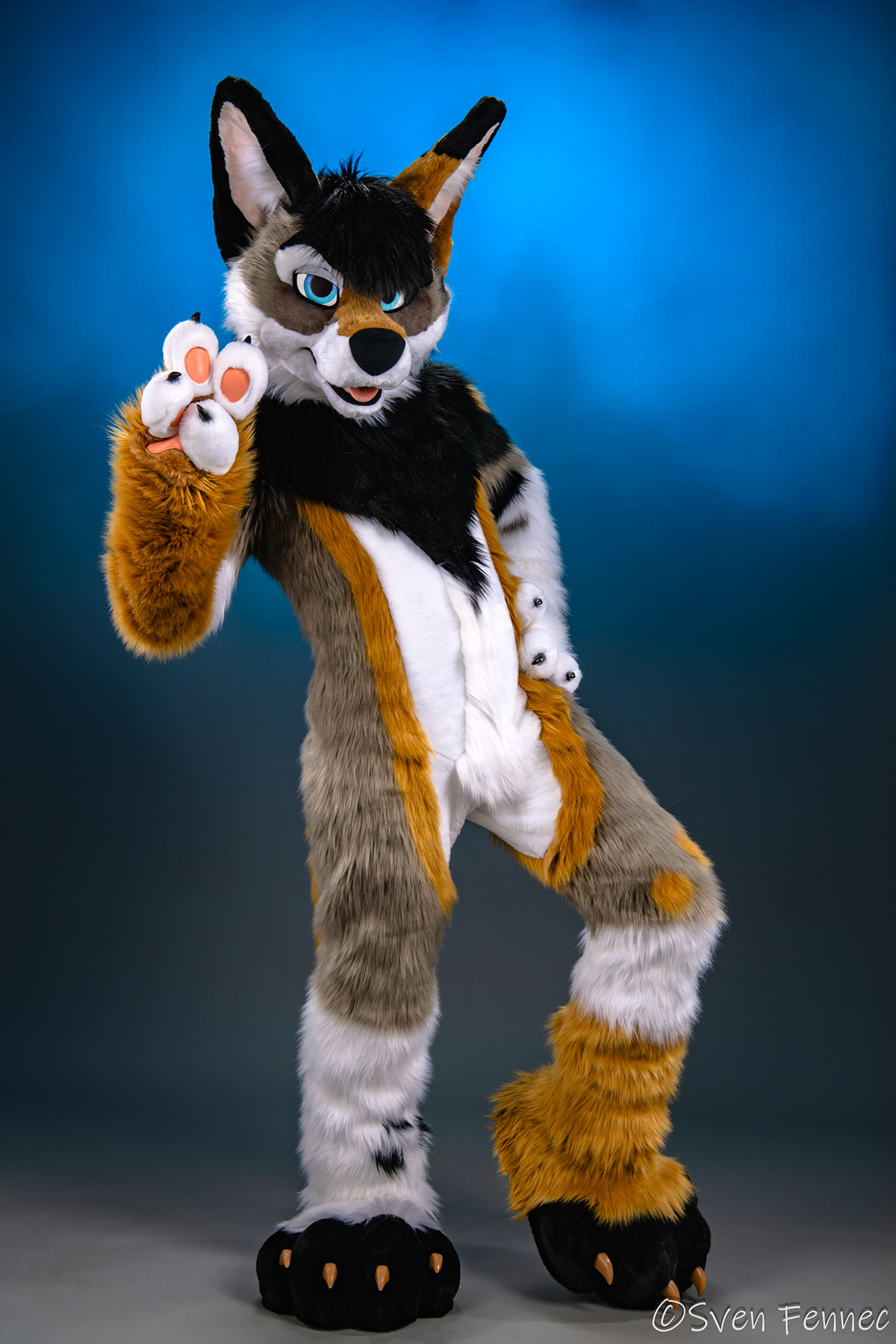 Sven Fennec Photography - Studio Fursuit Portraits