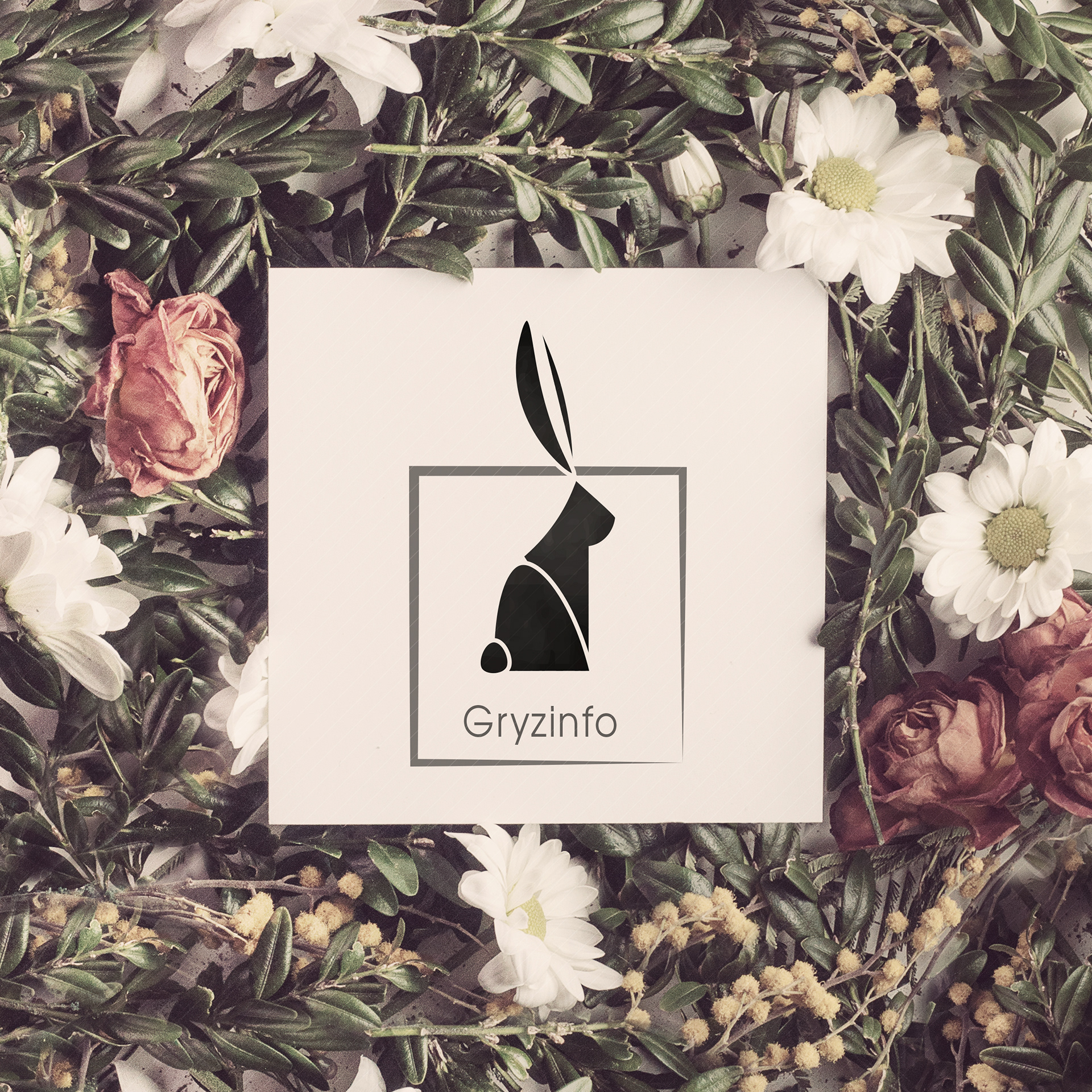 Marta Grzesiuk Studio wen