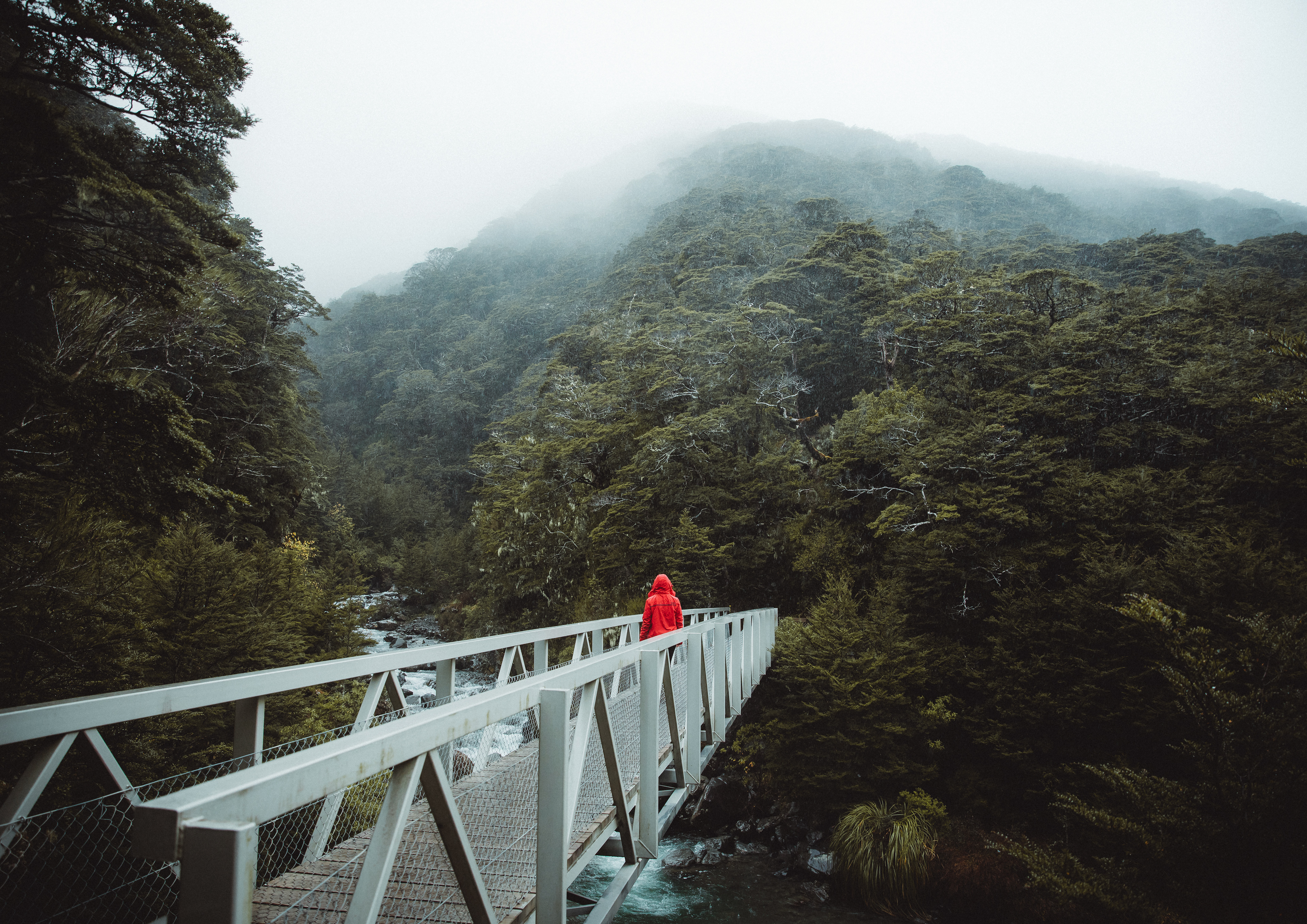Arthurs Pass National Park