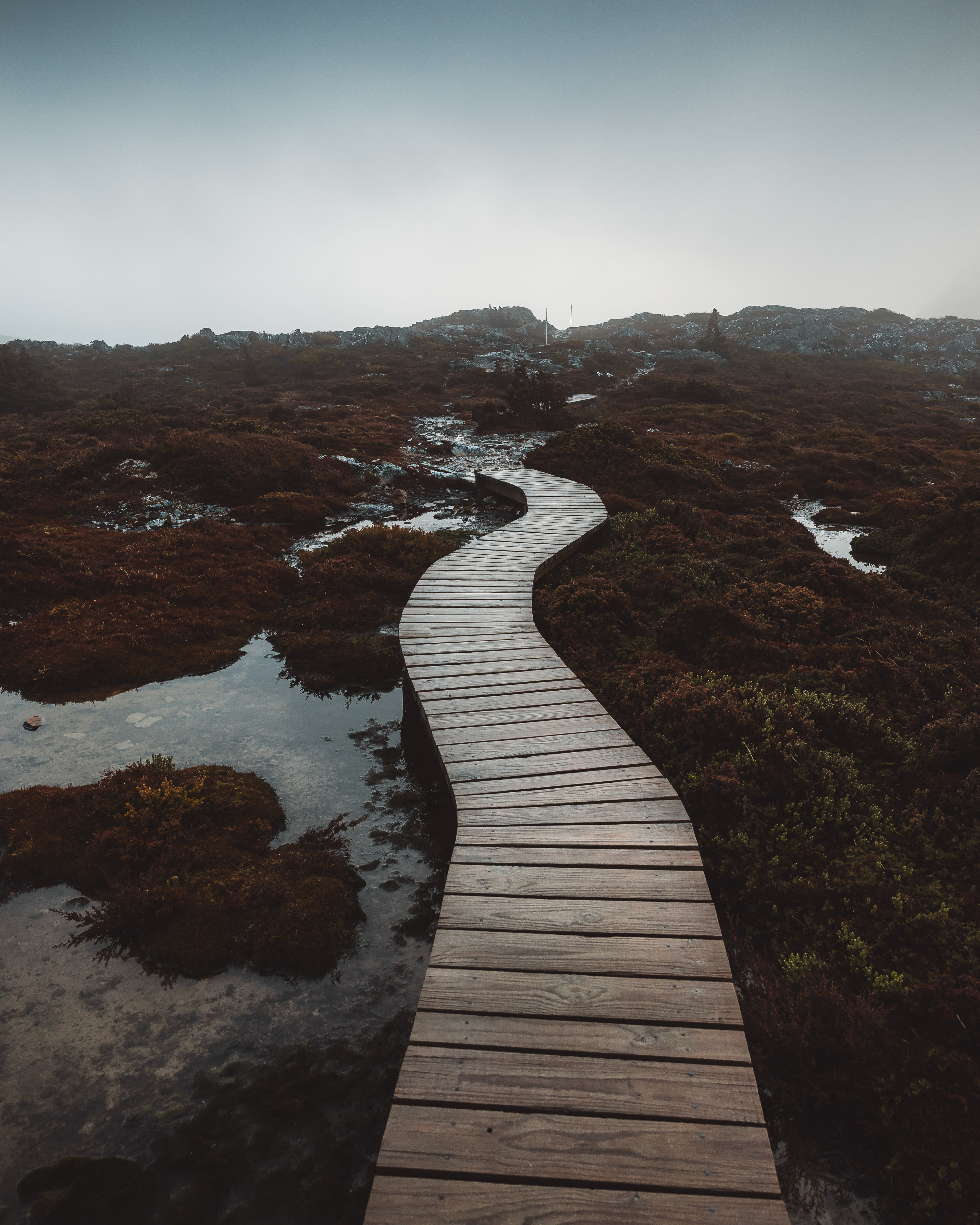 Cradle Mountain Path